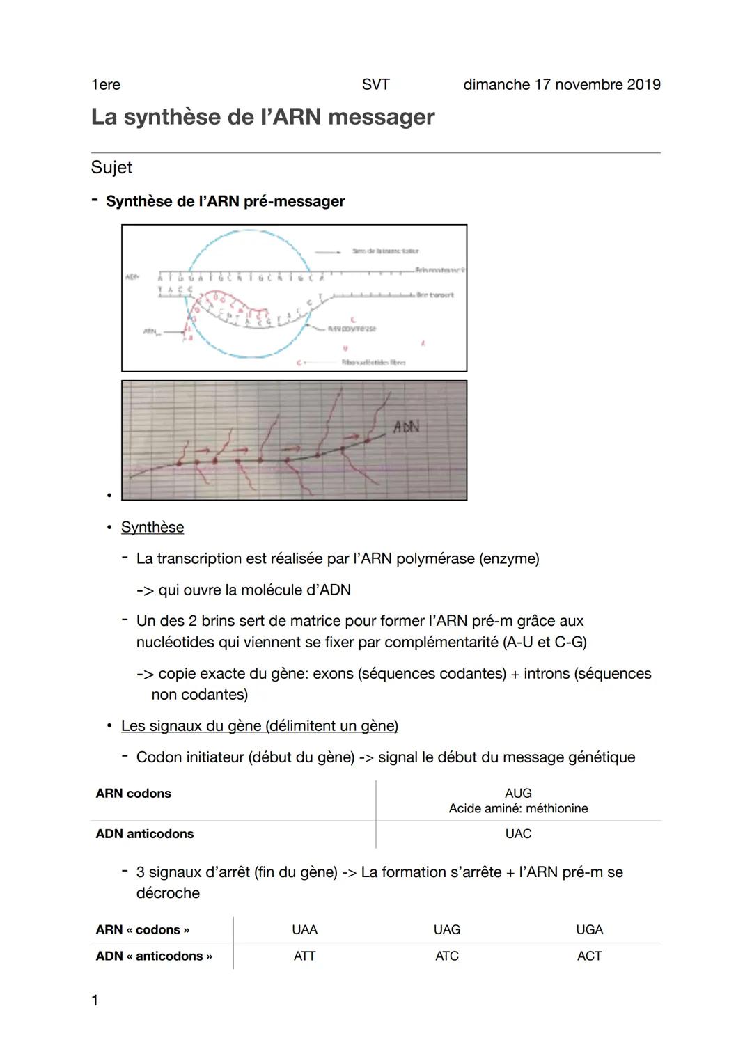 1ere
SVT
La synthèse de l'ARN messager
Sujet
Synthèse de l'ARN pré-messager
A[M
GAT
1
441
ARN codons
ADN anticodons
GCA
muy
ARN << codons >>