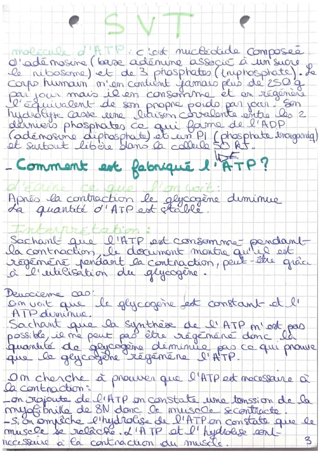 SVT
Chapitre 3: produire le mouvement
I doo nalle les musculaire : uime celle de
späcialiste pour la contraction
Muscle (organe)
Structure e