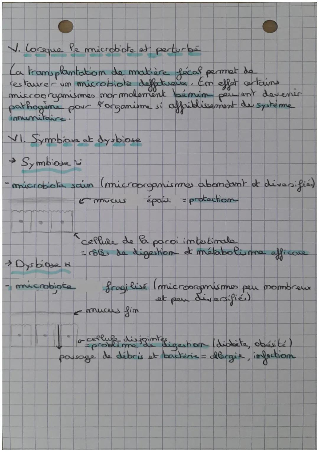 &
Le microbiote humain et santé
1. Definitions
la microbiote humain représente l'ensemble de
microorganismes qui vivent sur la peau, les muq