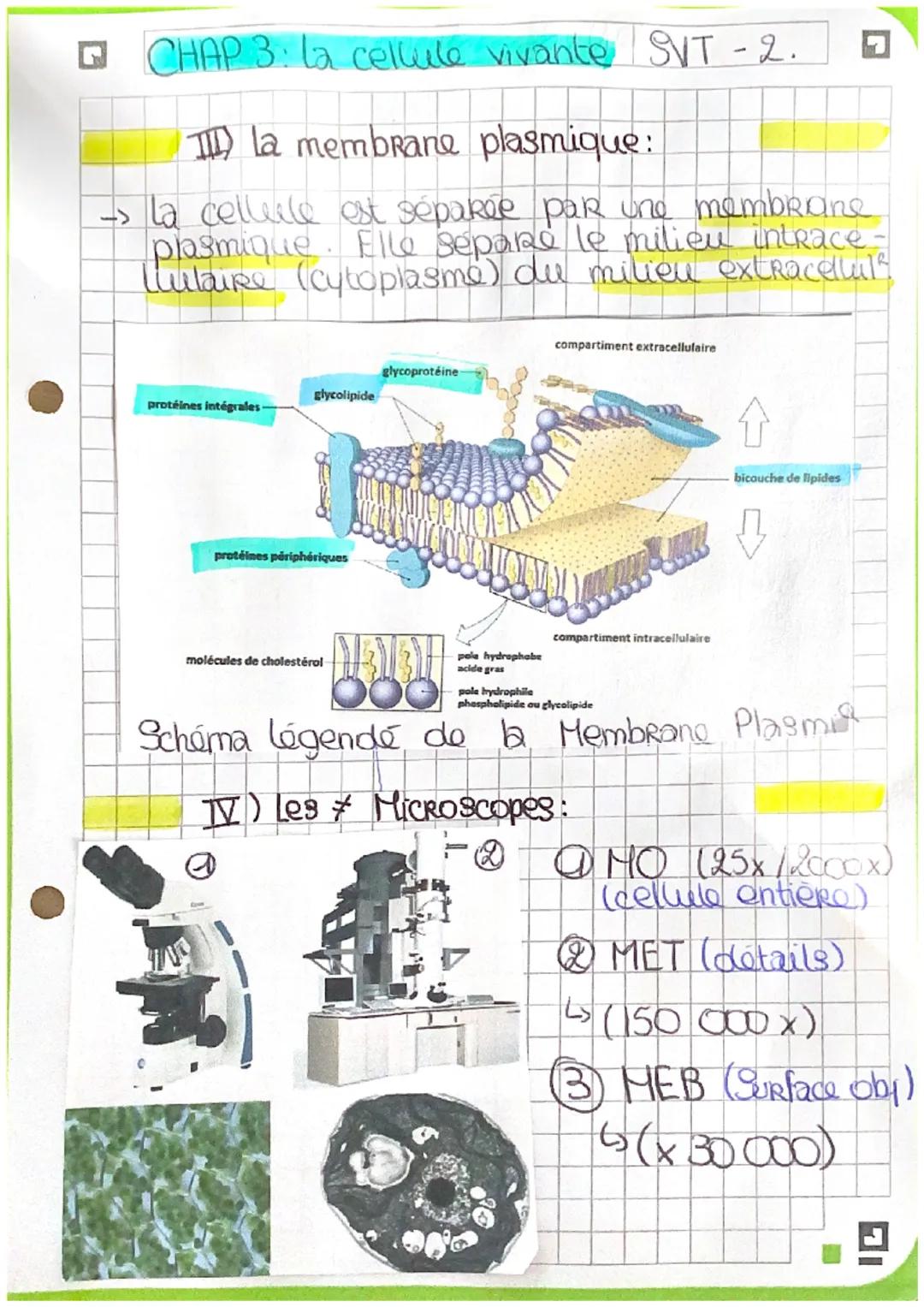 CHAP 3: La cellule Vivante : SVT - 1
I- La naissance de la théorie Cellul
1) le bouleversement de xvilles: ~~
• invent du microscope optiq