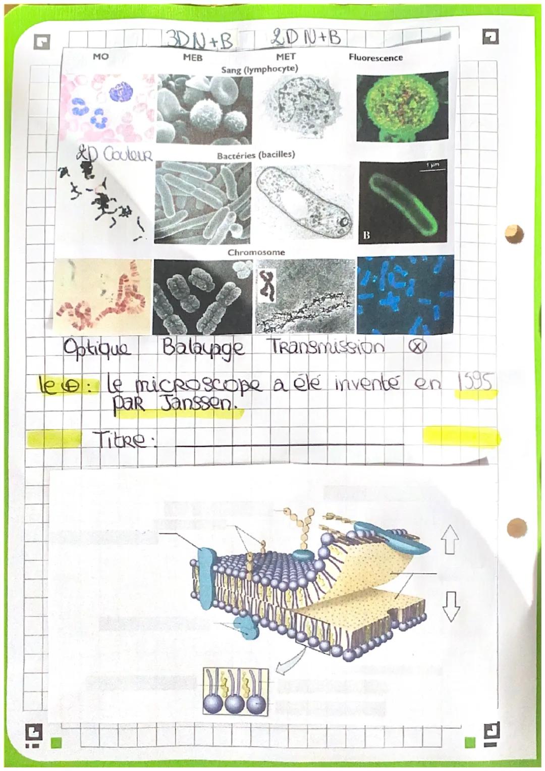 CHAP 3: La cellule Vivante : SVT - 1
I- La naissance de la théorie Cellul
1) le bouleversement de xvilles: ~~
• invent du microscope optiq