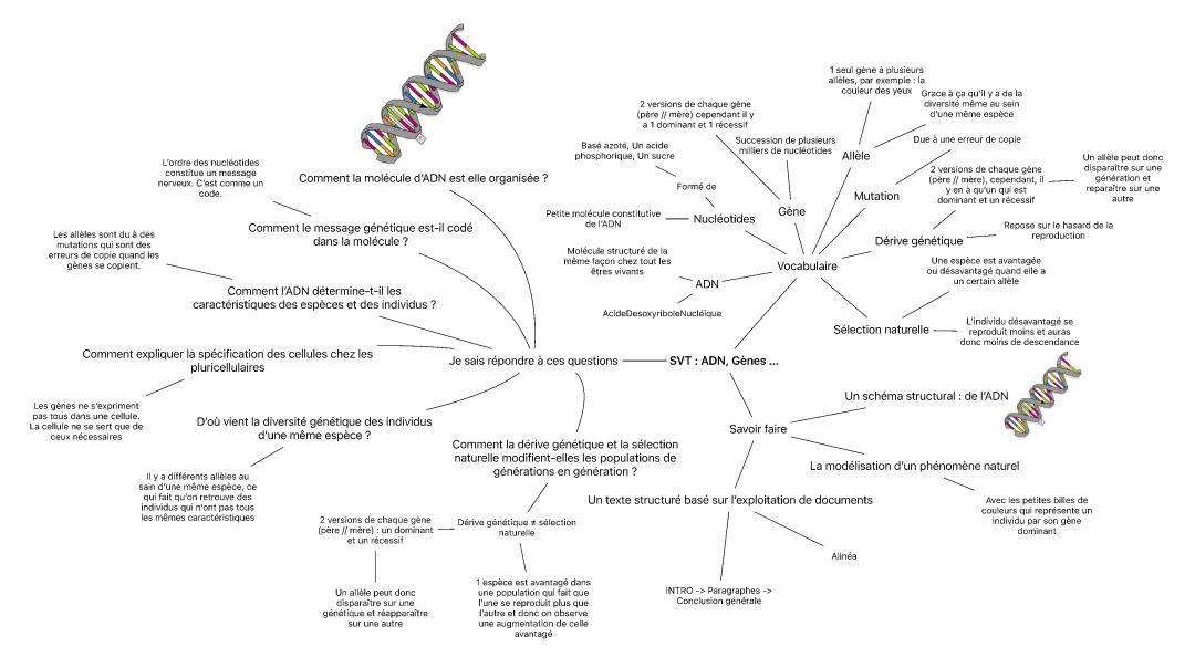 L’ADN, les gènes …