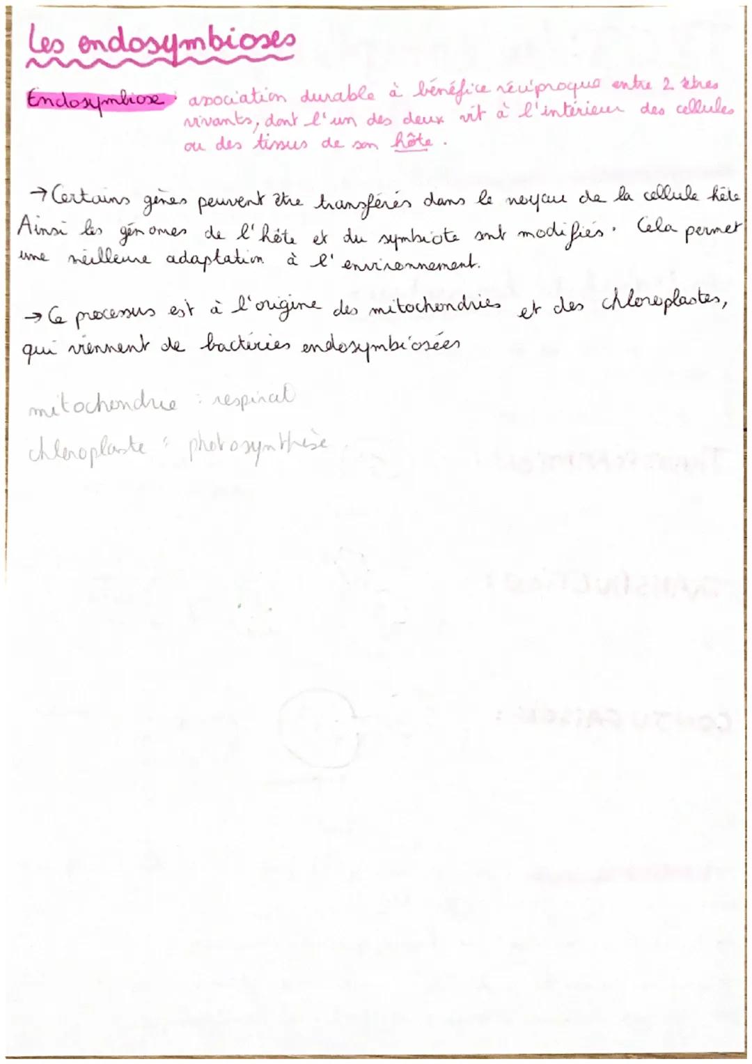 # T2C3: La complexification
des genomés
transfert
vertical de gènes les genes des parents sont transmis aux
enfants à chaque génération (↓)