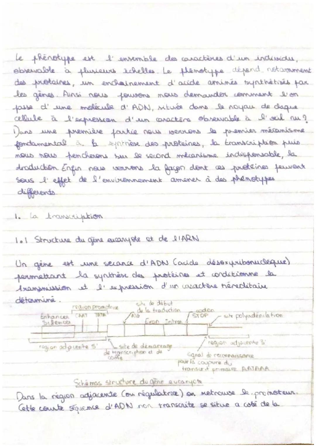 le phénotype résultat d’interactions entre génotype, organisme et environnement