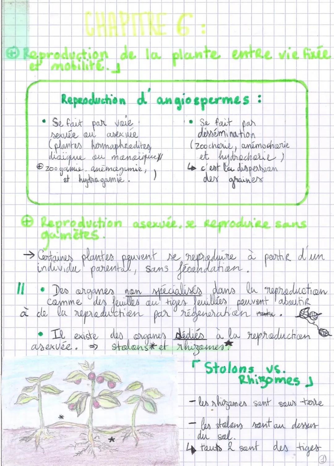 Ⓒ Reproduction de la plante entre vie fixée
Reproduction d'angiospermes :
• Se fait par
dissémination.
• Se fait par voie
sexvée ou
asex we