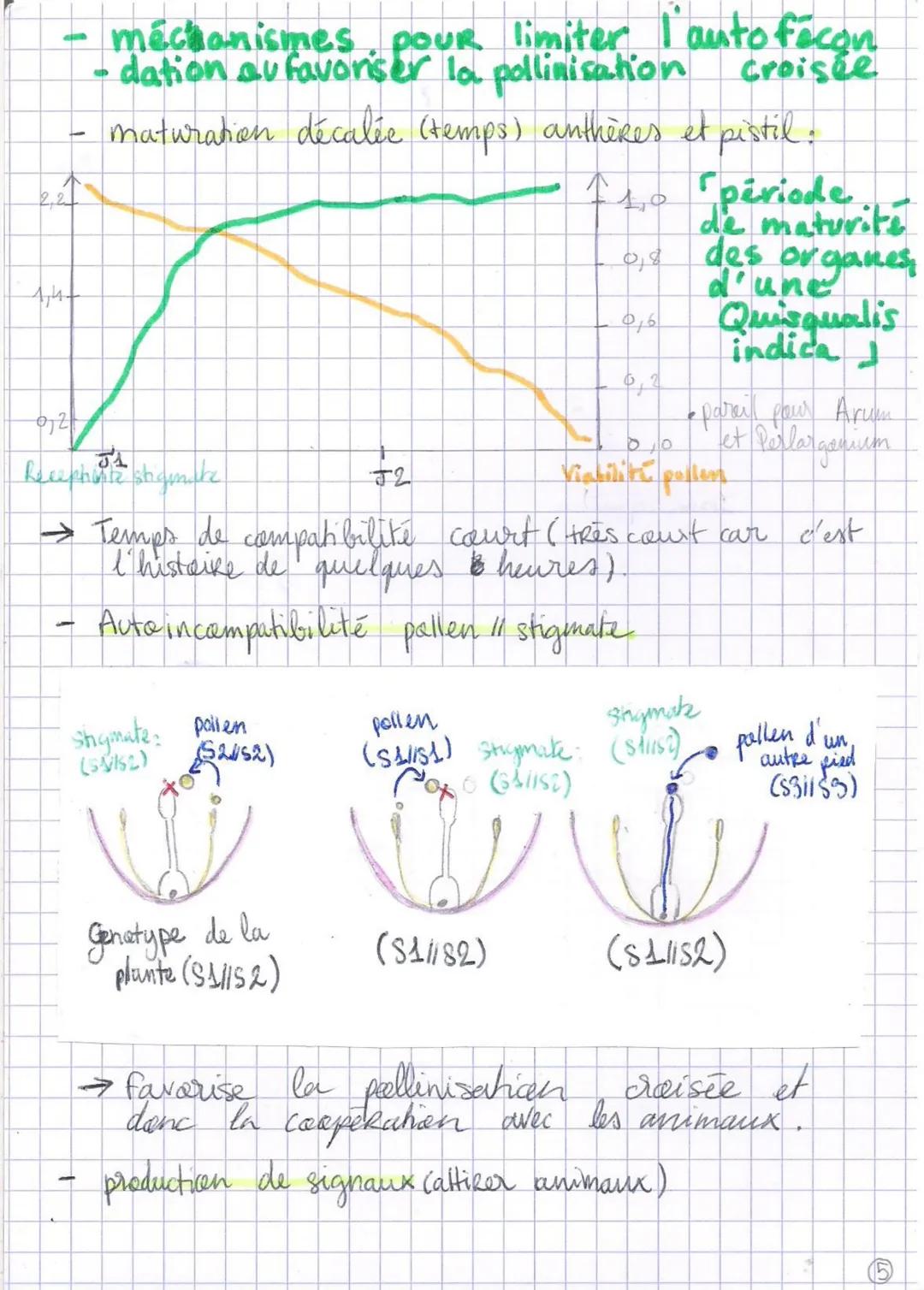 Ⓒ Reproduction de la plante entre vie fixée
Reproduction d'angiospermes :
• Se fait par
dissémination.
• Se fait par voie
sexvée ou
asex we