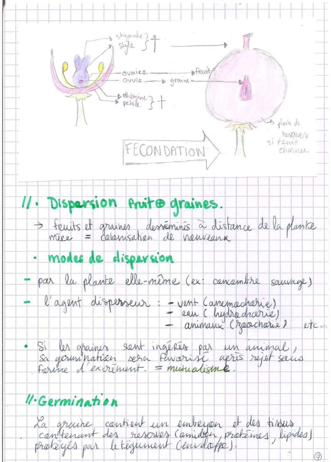 Ⓒ Reproduction de la plante entre vie fixée
Reproduction d'angiospermes :
• Se fait par
dissémination.
• Se fait par voie
sexvée ou
asex we