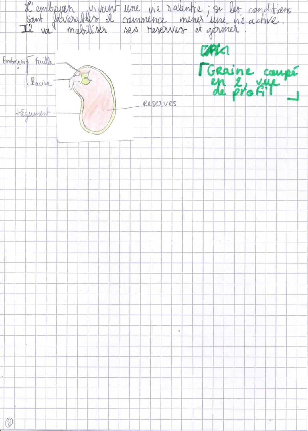 Ⓒ Reproduction de la plante entre vie fixée
Reproduction d'angiospermes :
• Se fait par
dissémination.
• Se fait par voie
sexvée ou
asex we