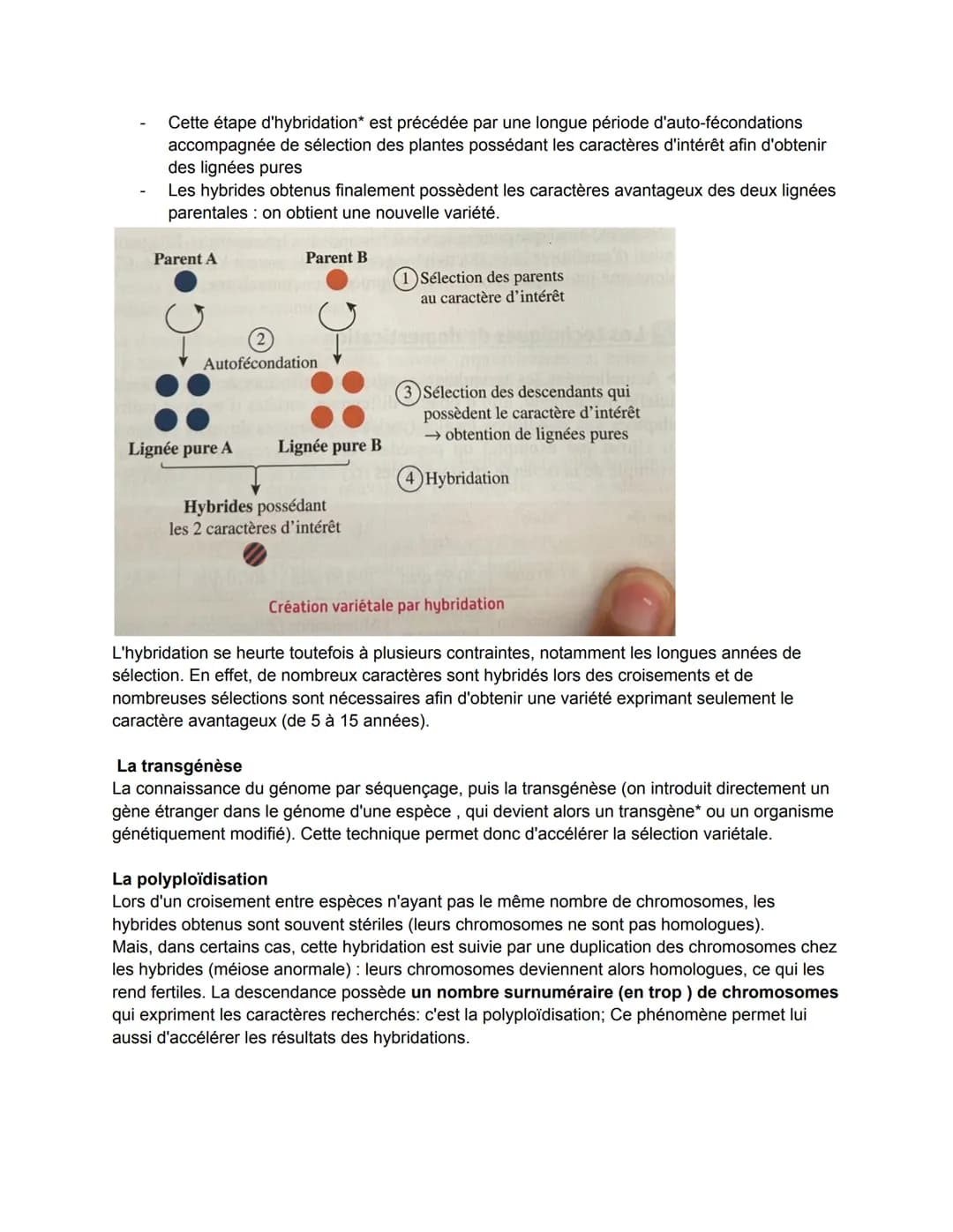 Chapitre 19: La domestication des plantes
1) L'origine des espèces cultivées
L'augmentation continue de la population humaine est une probl