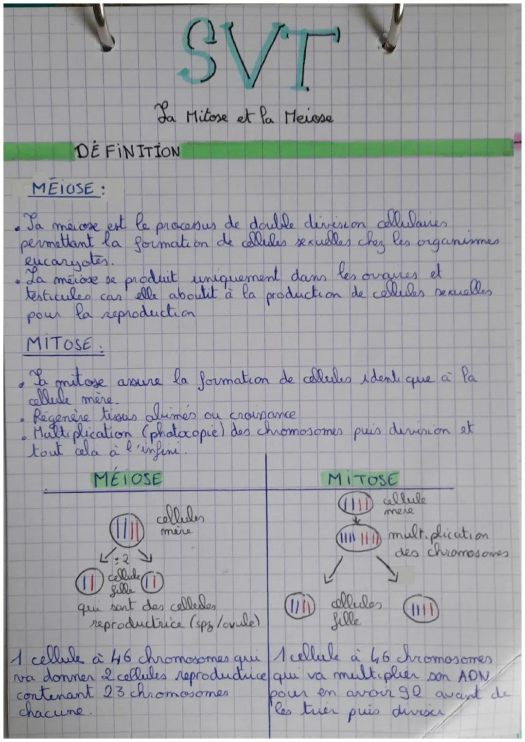 SVT
La Mitose et la Meiose
DE FINITION
MEIUSE:
Ta meicose est le
processus de double division cellulares
permettant la formation de cellules