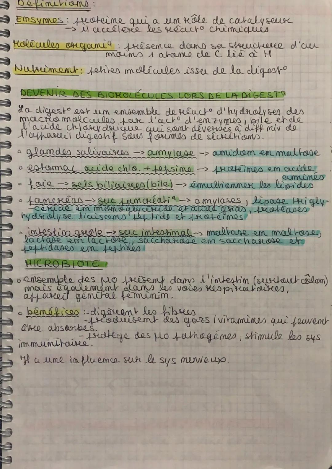 # Les besoins nutritianmees
11/01/22
Ratiom alimentaire: ensemble des aliments et des -
boissons ingeres par um individu fodr. ume jourmee.