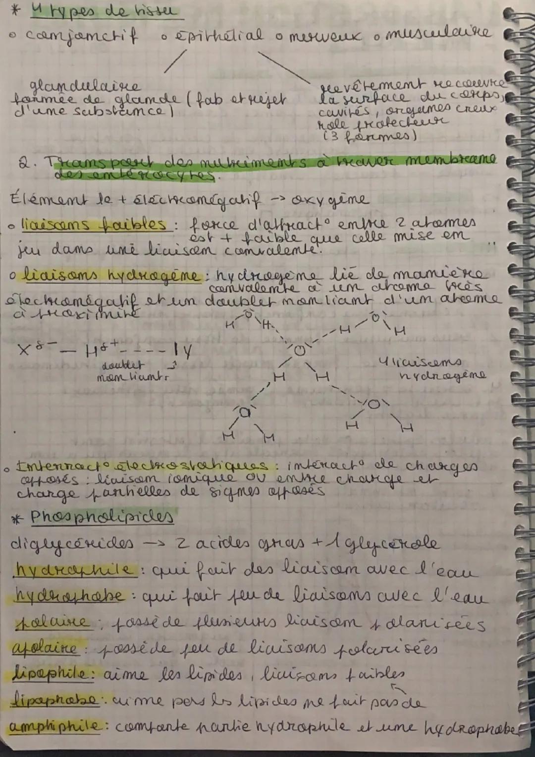 # Les besoins nutritianmees
11/01/22
Ratiom alimentaire: ensemble des aliments et des -
boissons ingeres par um individu fodr. ume jourmee.