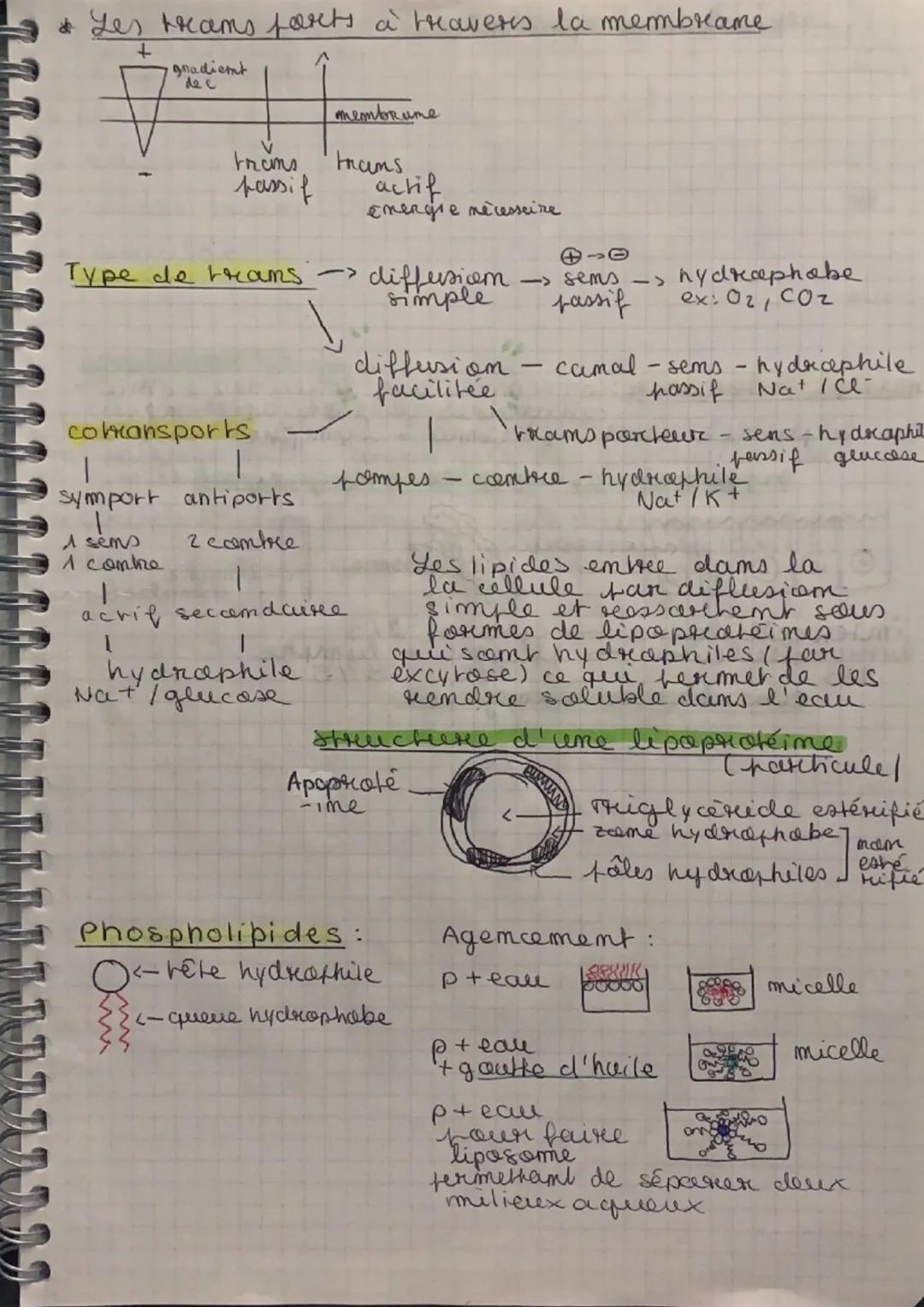 # Les besoins nutritianmees
11/01/22
Ratiom alimentaire: ensemble des aliments et des -
boissons ingeres par um individu fodr. ume jourmee.