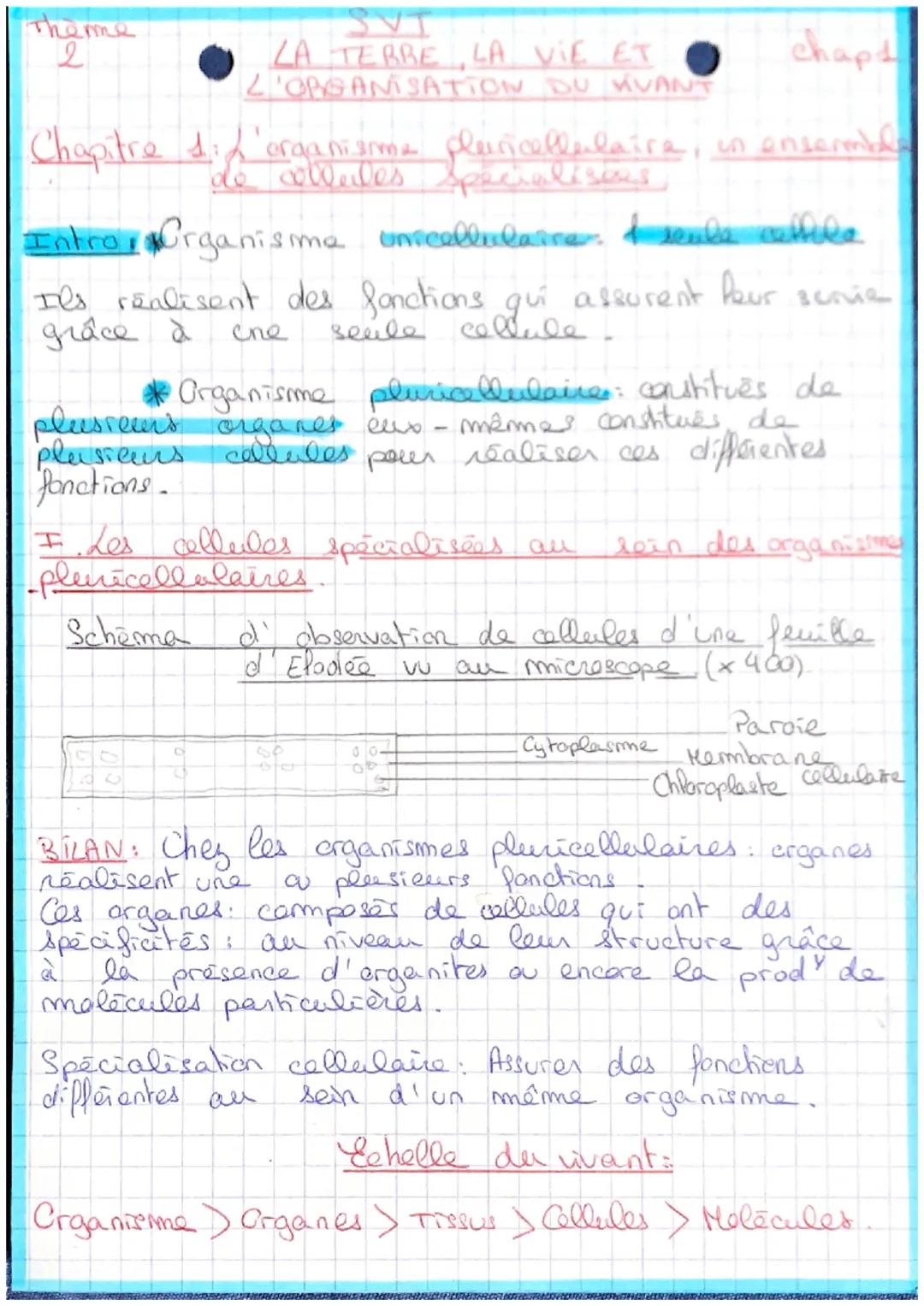 ga
chapt
Chapitre si organisime pluricellulaire, in ensembl
de cellules specialisies
2
LA TERRE LA VIE ET
L'ORGANISATION DU KVANT
Intro Orga