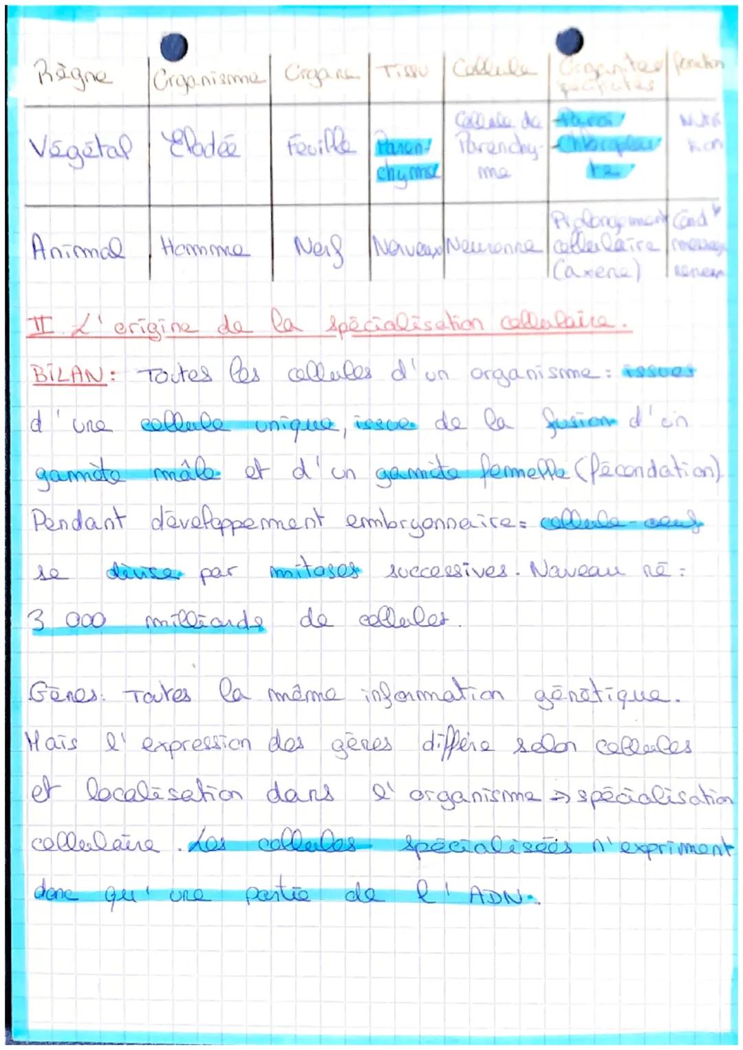 ga
chapt
Chapitre si organisime pluricellulaire, in ensembl
de cellules specialisies
2
LA TERRE LA VIE ET
L'ORGANISATION DU KVANT
Intro Orga