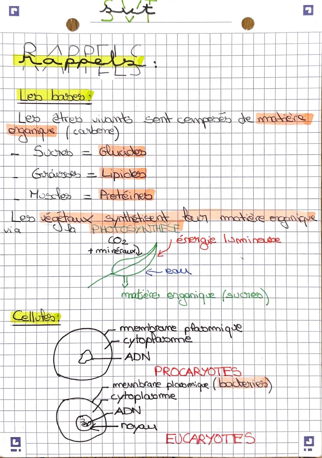 SVT 2nd photosynthèse, cellules, ADN