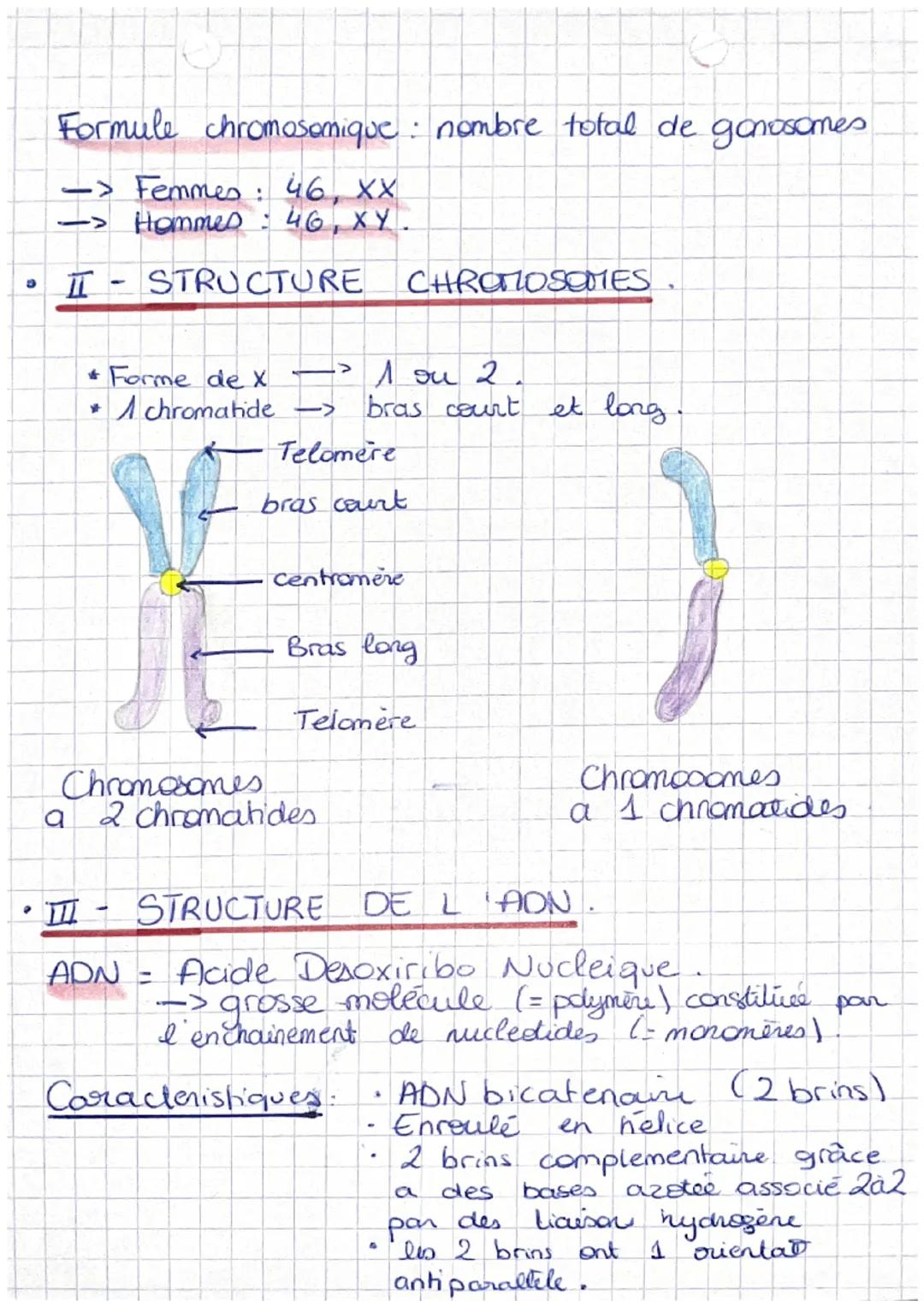 Definitions
عنهملمنم
L'information génétique
sous
Info genétique = information héréditaire porté par les
gènes
d'un individu
génome : l'ense