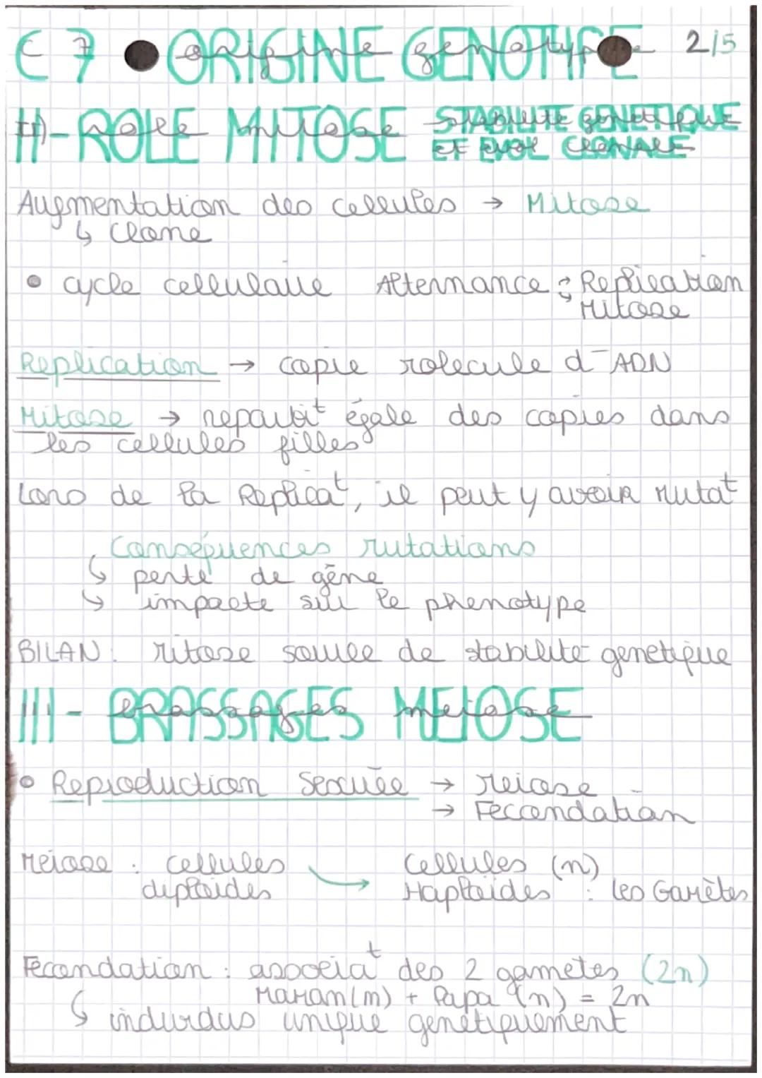 Chap 7
+- RAPPEL
ORIGINE GENOTYPE
MITOSE
X
E
P
M
H
T
Cellules Somatiques
1 division Cellulaire
(4 itapes prophase, retaphase
interphase, tel