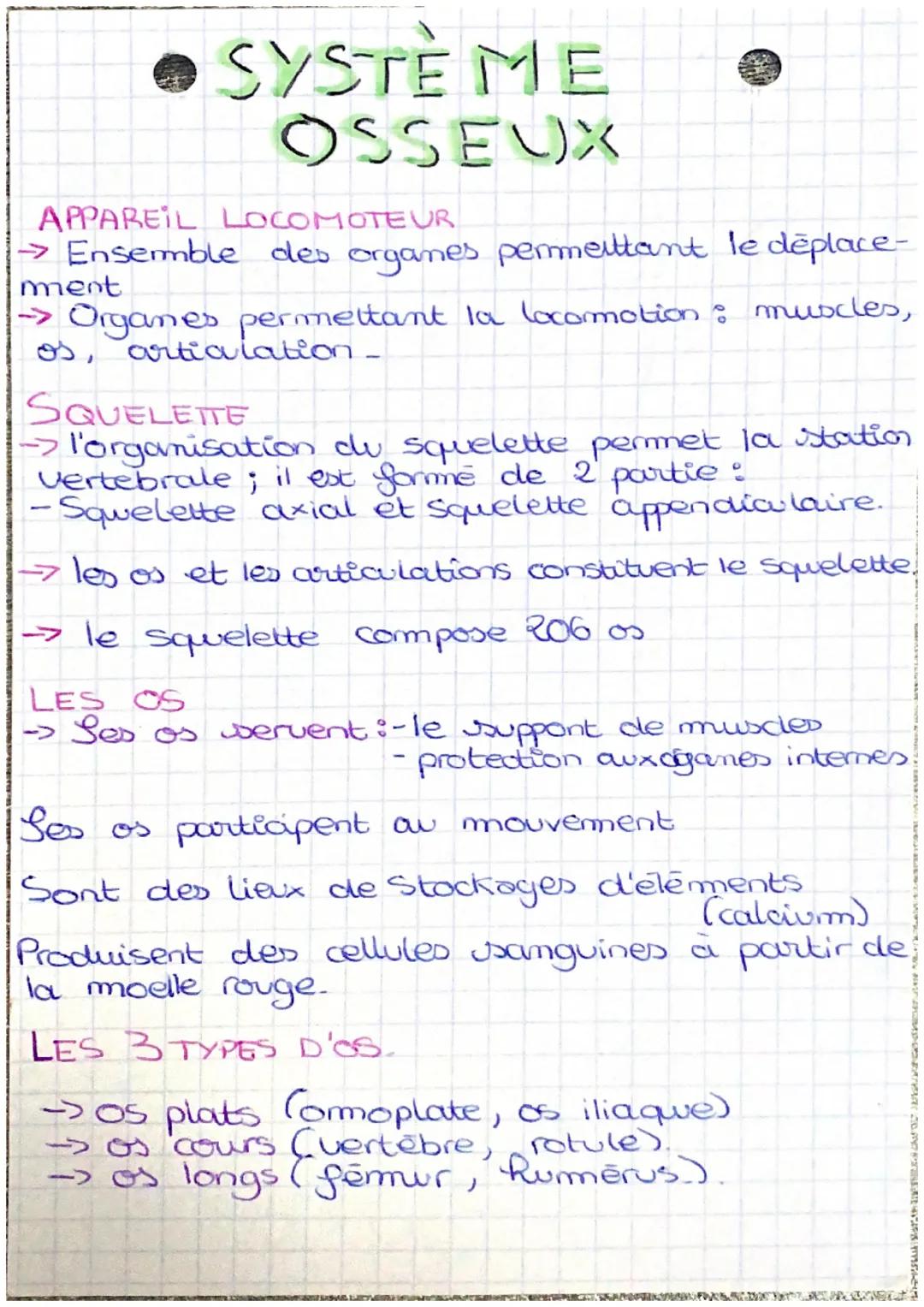 • SYSTÈME
OSSEUX
APPAREIL LOCOMOTEUR
→ Ensemble des organes permettant le déplace-
ment
→Organes permettant la locomotion : muscles,
os, art