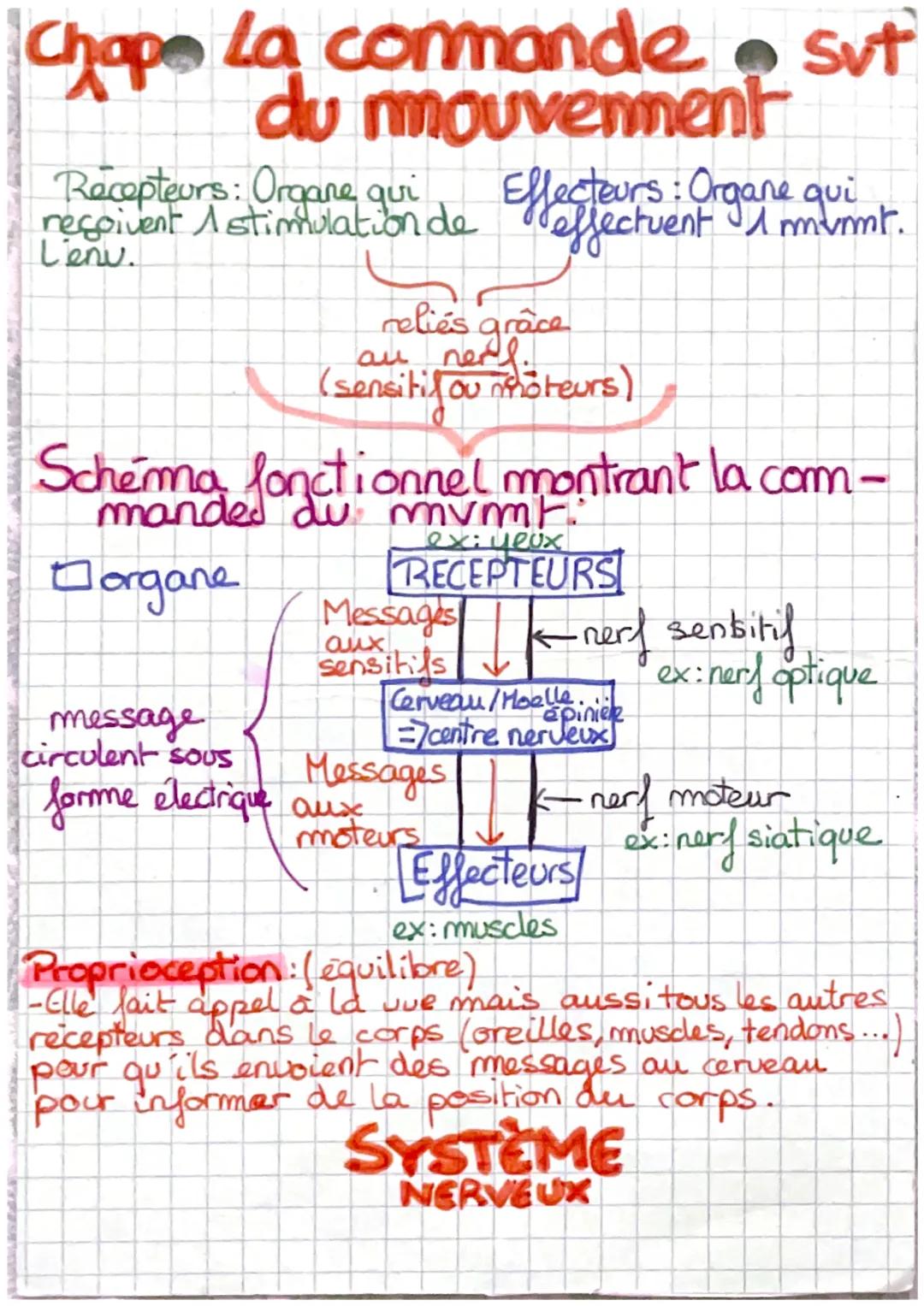 La commande d’un mouvement