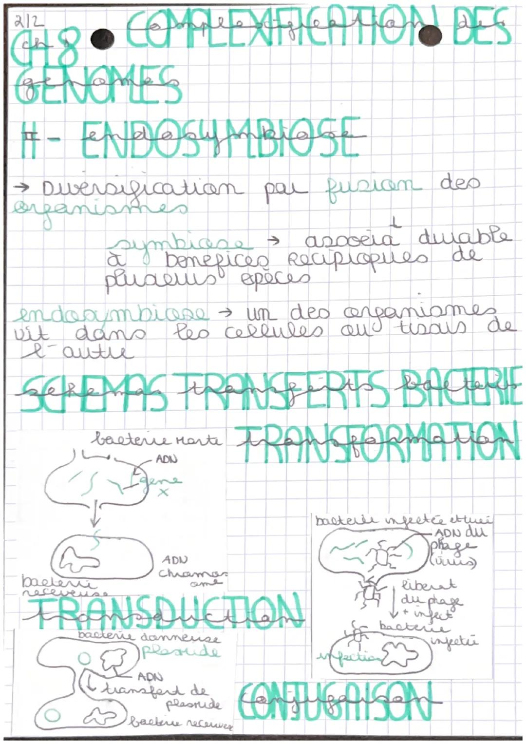 412
Jug
● LA COMPEXIFICATION DES
CENONES
phenotype Resulte de l'expression de
son gehome
↳ environnement influence
t
Reproduction sexufe > d