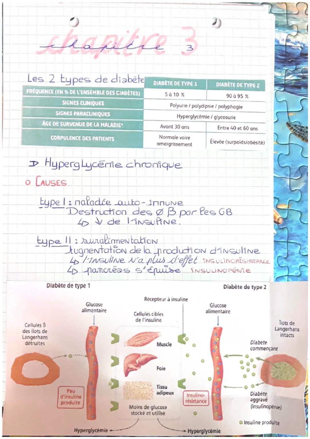 # chapitre 3
Les 2 types de diabēte
| FRÉQUENCE (EN % DE L'ENSEMBLE DES CIABÈTES) | DIABÈTE DE TYPE 1 | DIABÈTE DE TYPE 2 |
| ------------