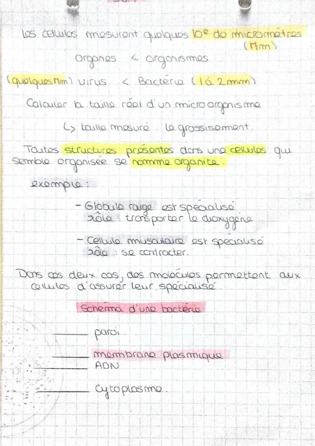 les cellules