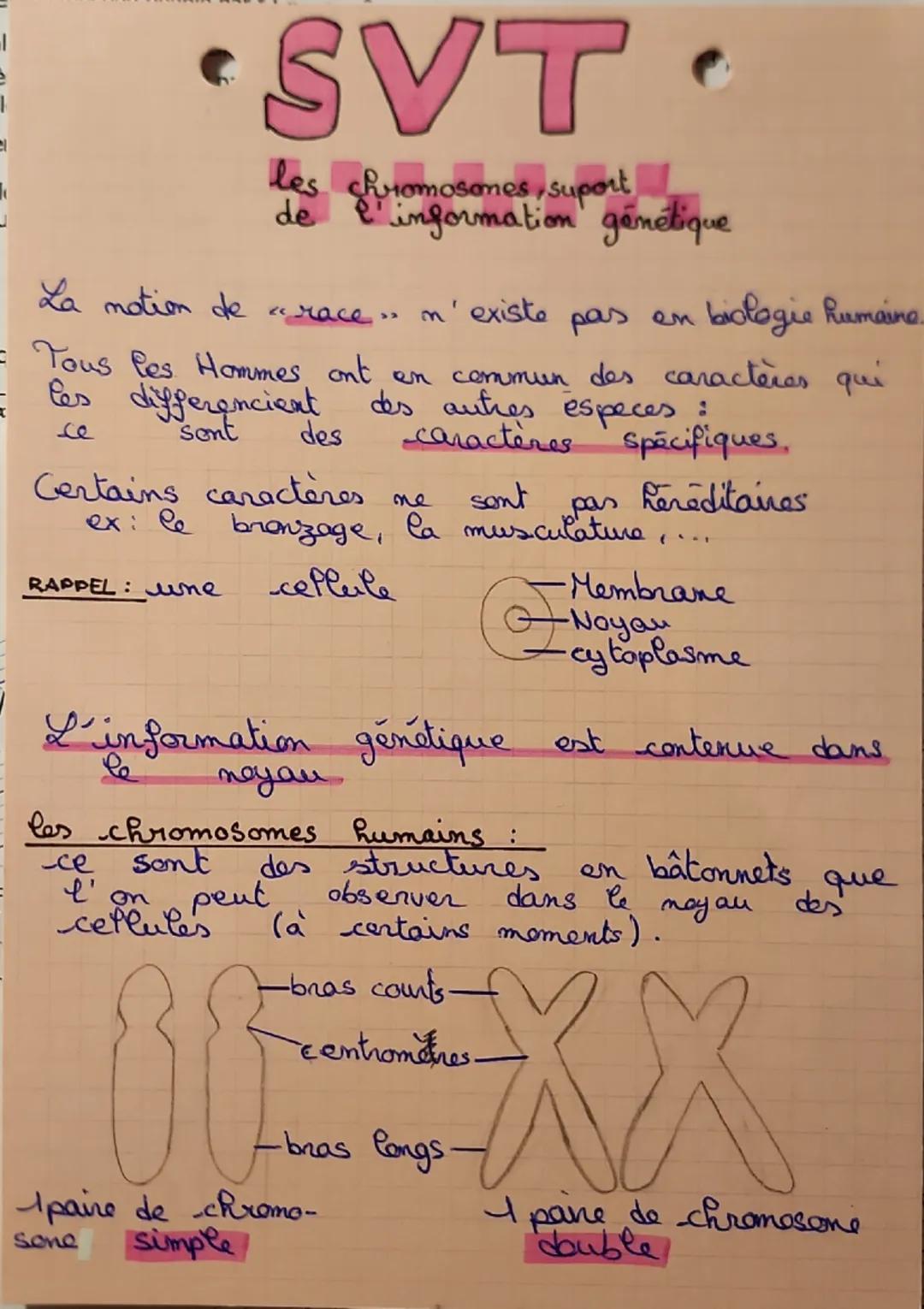 --- OCR Start ---
L
に
SVT
les chromosomes, suport
de l'information génétique
La notion de "race" n'existe pas en biologie humaine.
Tous les