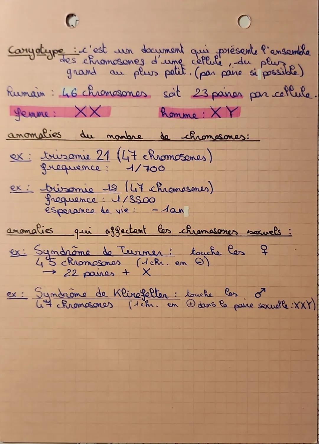 --- OCR Start ---
L
に
SVT
les chromosomes, suport
de l'information génétique
La notion de "race" n'existe pas en biologie humaine.
Tous les