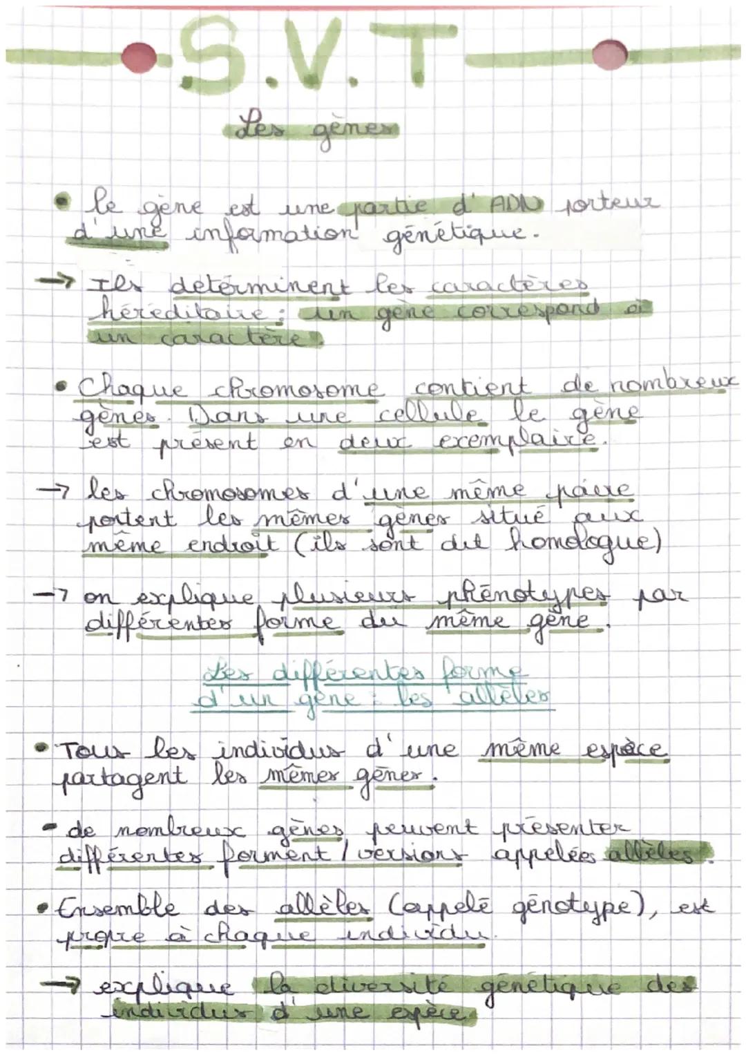 S.V.T
Les geness
детет
• le
be gène est une partie d'ADD porteur
d'une information génétique.
→ Ils determinent les caractères
hereditatie
i