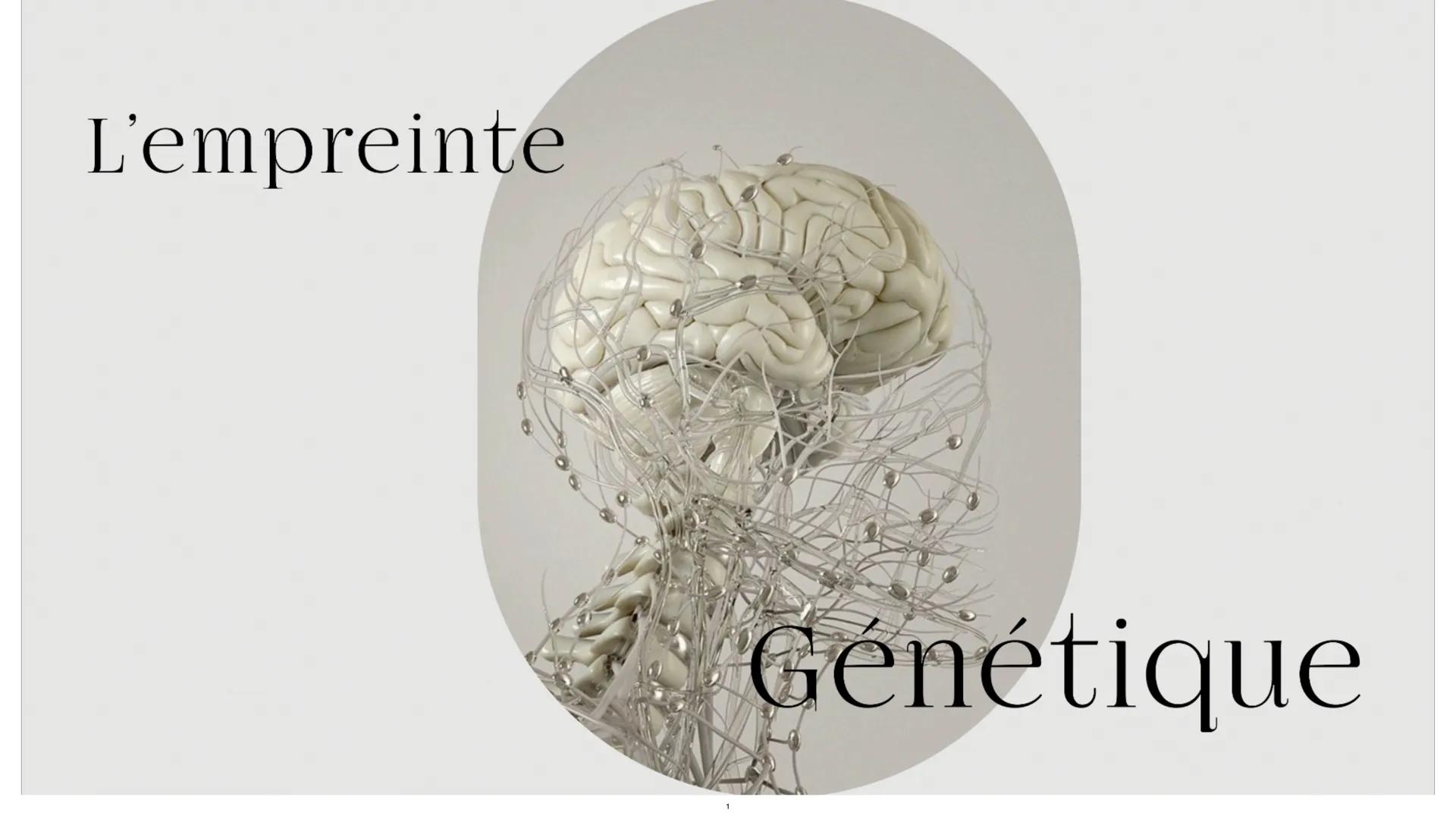 # L'empreinte
Génétique L'étude des résultats des croisements sert à
savoir comment se transmet un certain
caractère. Au début cela a été d