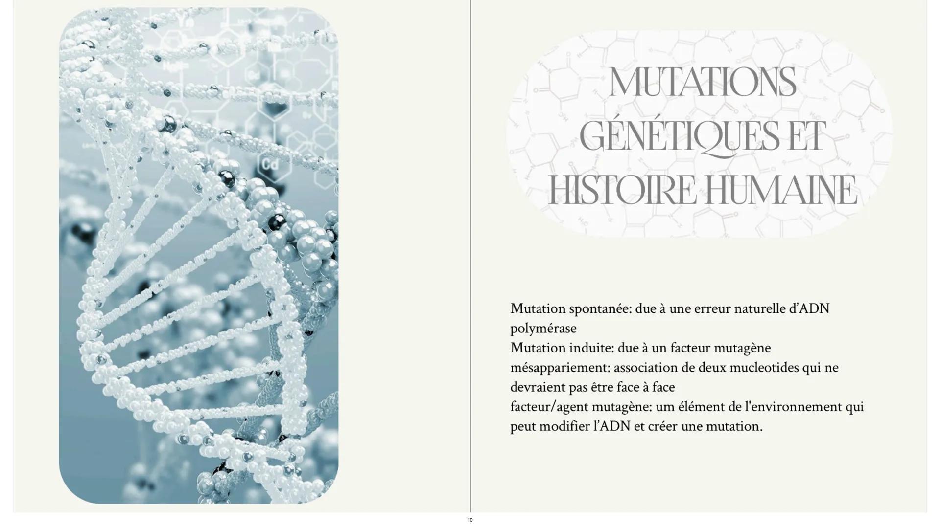 # L'empreinte
Génétique L'étude des résultats des croisements sert à
savoir comment se transmet un certain
caractère. Au début cela a été d