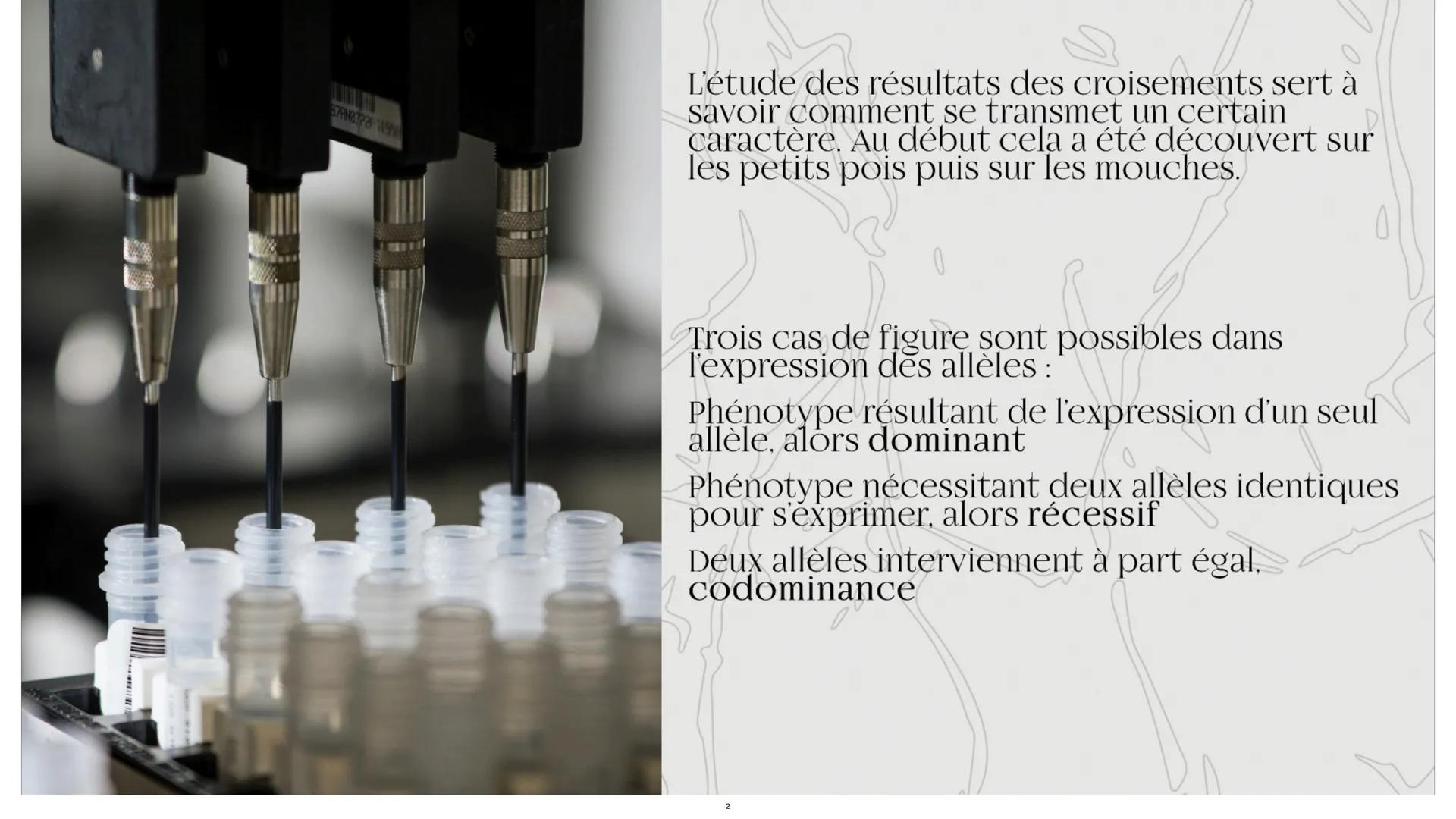 # L'empreinte
Génétique L'étude des résultats des croisements sert à
savoir comment se transmet un certain
caractère. Au début cela a été d