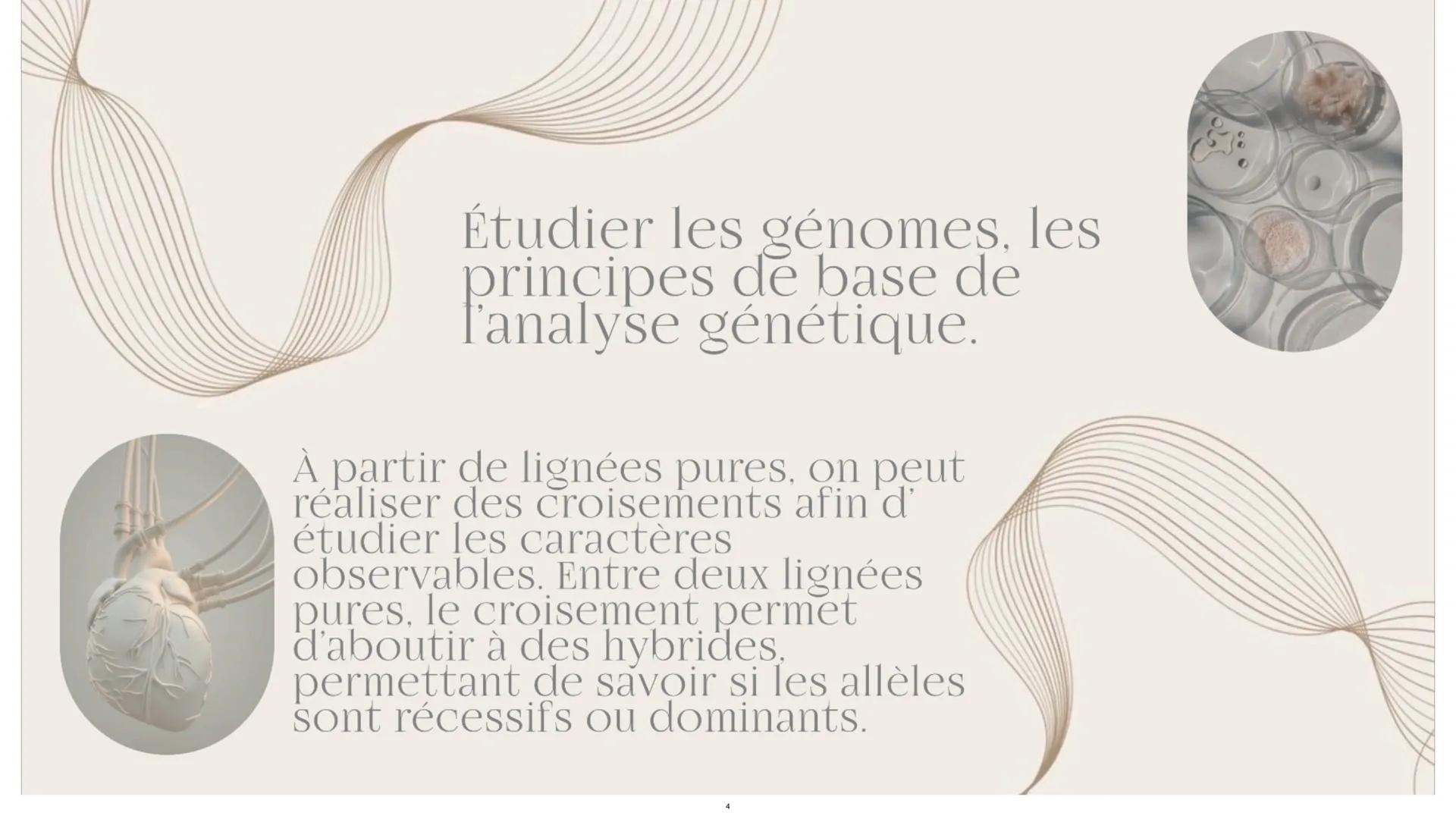 # L'empreinte
Génétique L'étude des résultats des croisements sert à
savoir comment se transmet un certain
caractère. Au début cela a été d
