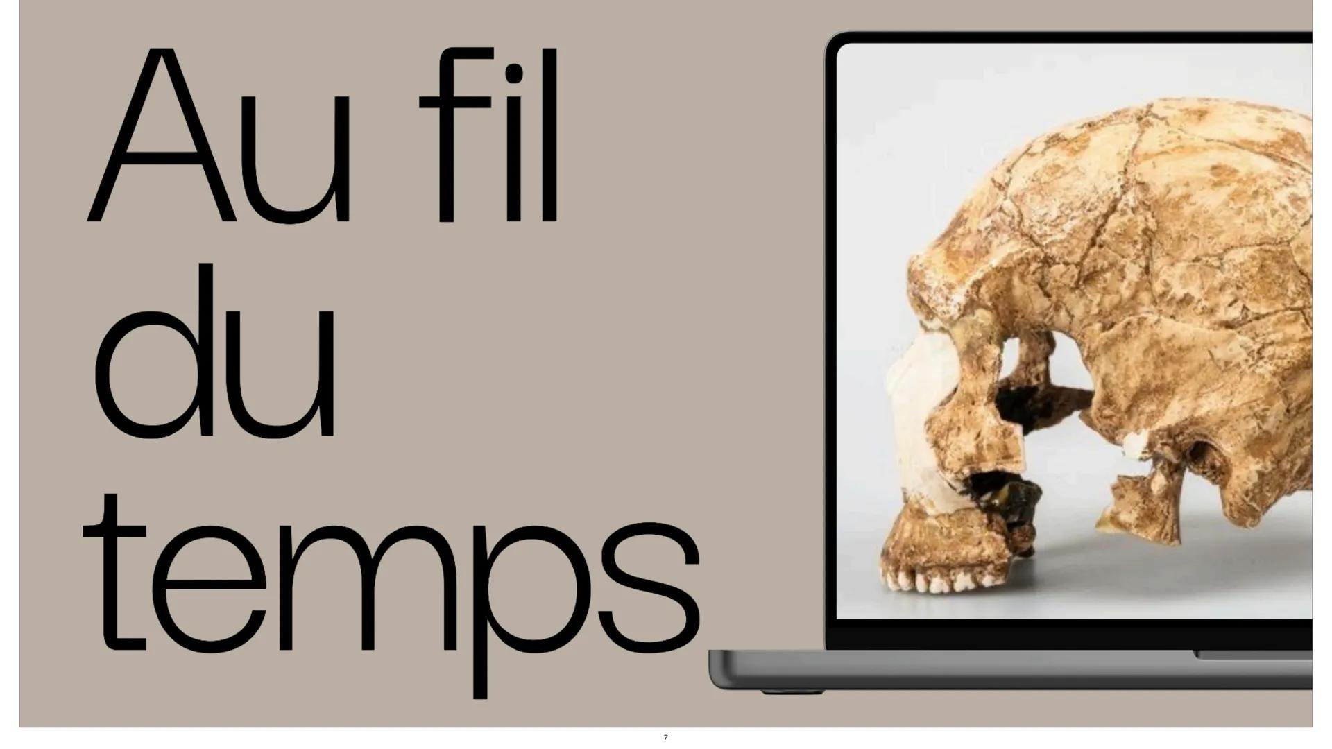 # L'empreinte
Génétique L'étude des résultats des croisements sert à
savoir comment se transmet un certain
caractère. Au début cela a été d