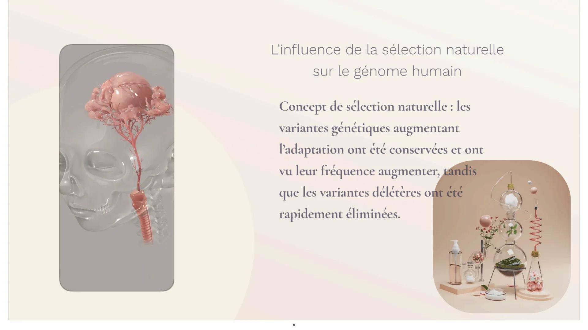 # L'empreinte
Génétique L'étude des résultats des croisements sert à
savoir comment se transmet un certain
caractère. Au début cela a été d