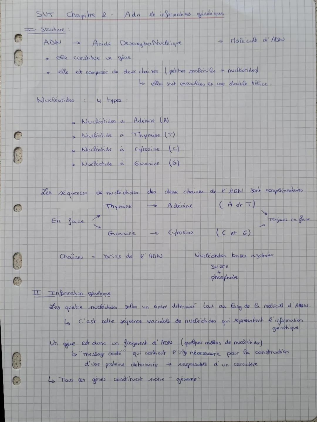 ADN et informations génétiques