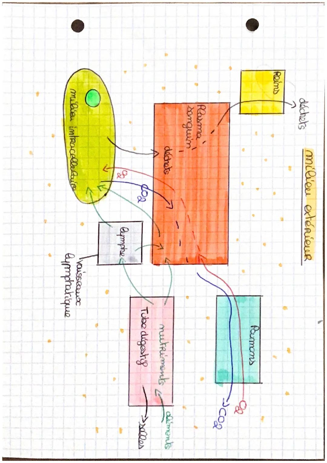 Pole 1 Term
# Biologiee
## Chapitre n°1 de milien intérieur et sa
## compartimention.
Compartiment léquidien :
- liquides intracellulaires