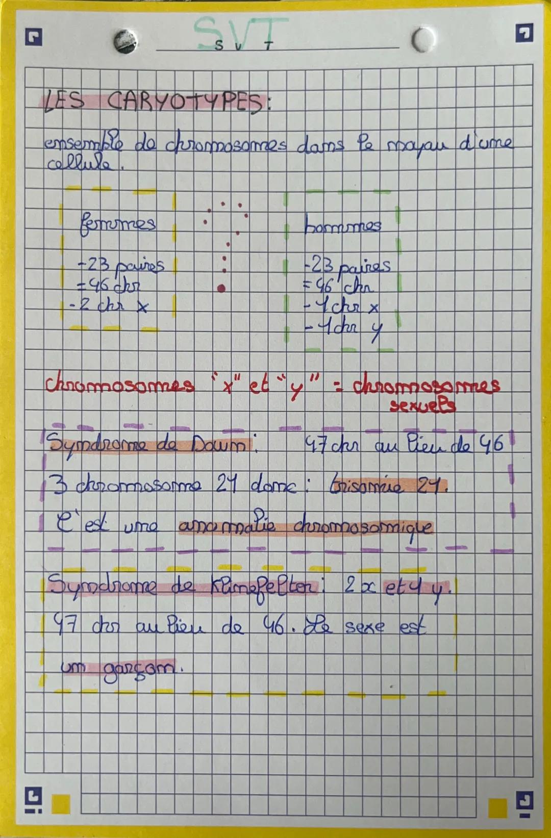 SVT
LES CARYOTYPES:
ensemble de chromosomes dans le mayau d'ume
cellule
femmes
-23 paires
=46 chr
- 2 chr X
bormmes
-23 paires
= 96 chr
-