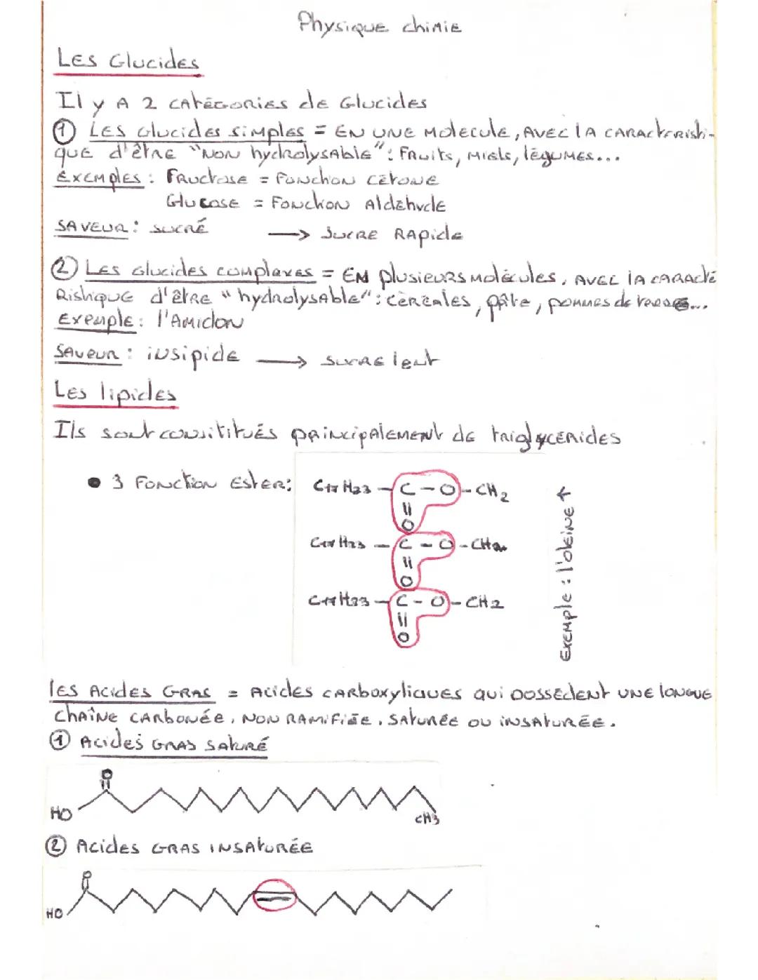 Les glucides les lipides et protéines