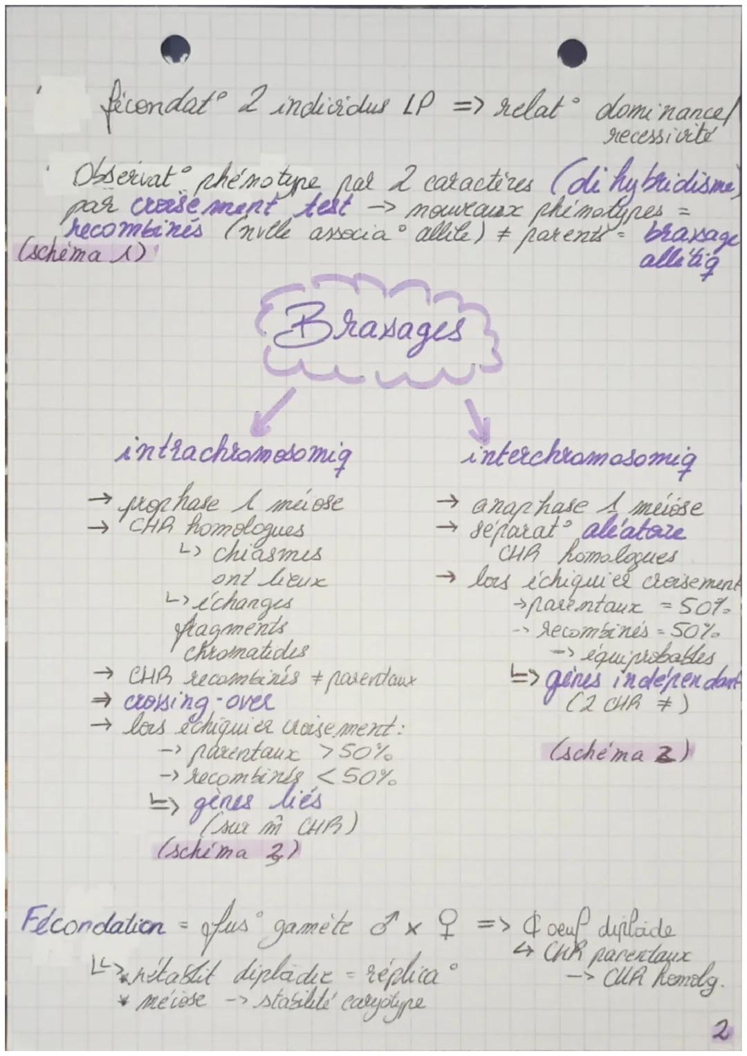 ΟΣ
>> la Reproduction sexuée
La R.S des encaryotes.
2 alleles d'un
Elois de
Mendel
gene se disjoignent
lors forma gamite
→Segrega CHR homila