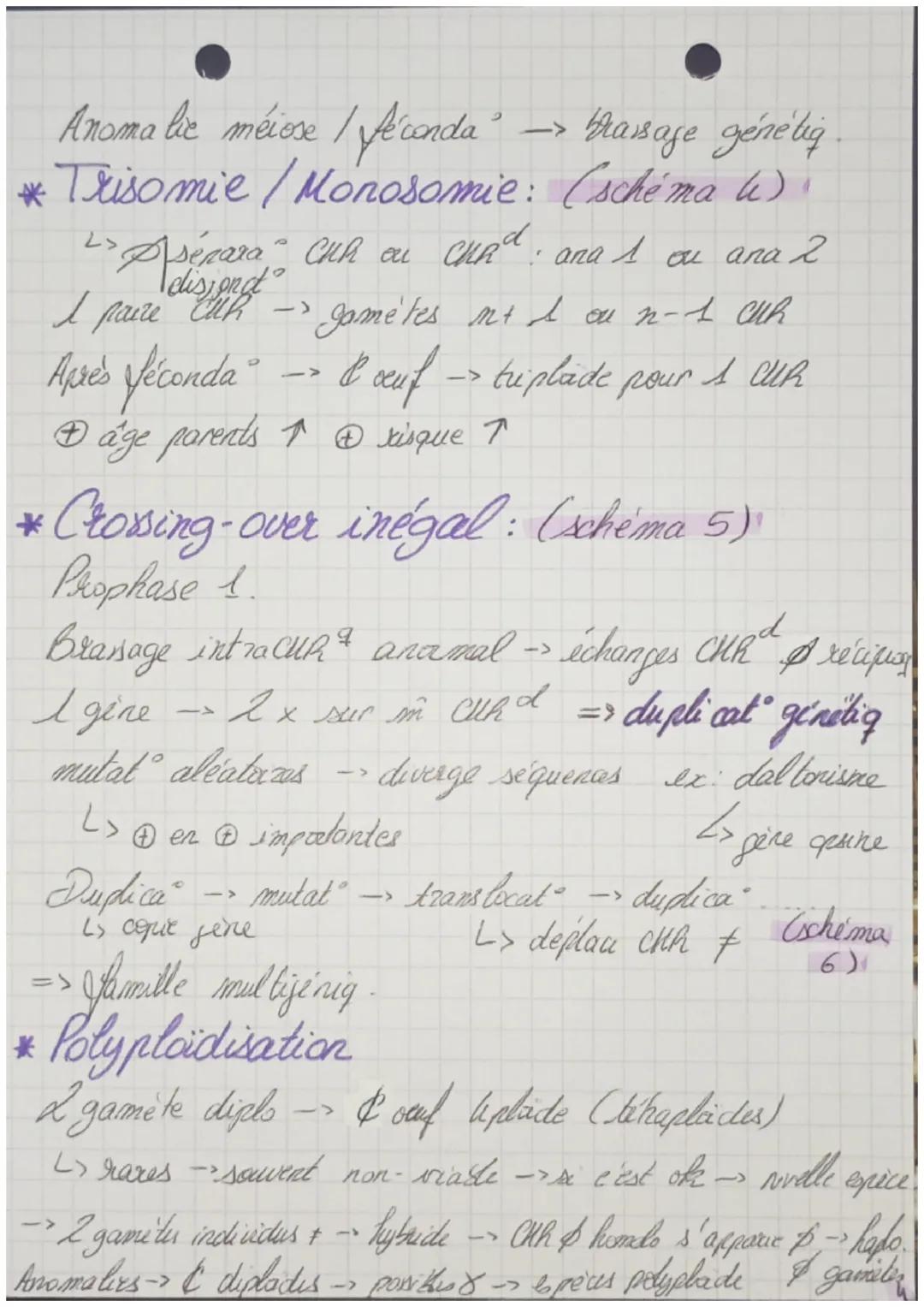 ΟΣ
>> la Reproduction sexuée
La R.S des encaryotes.
2 alleles d'un
Elois de
Mendel
gene se disjoignent
lors forma gamite
→Segrega CHR homila