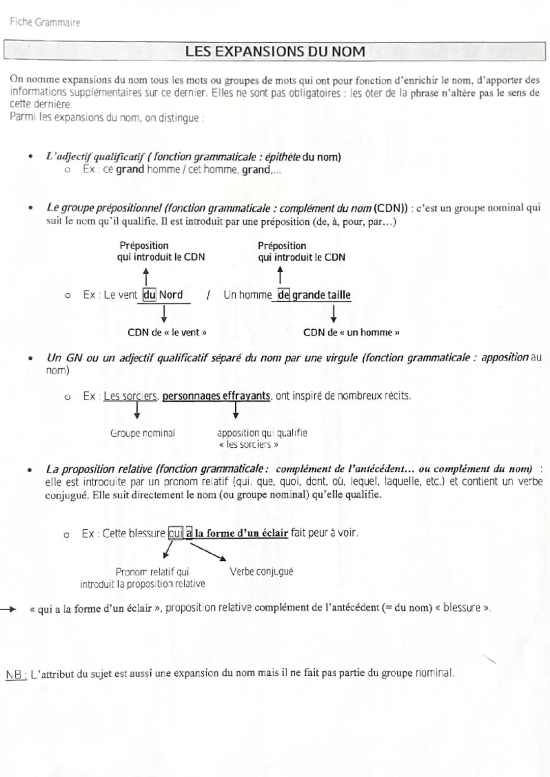 Fiche Grammaire
LES EXPANSIONS DU NOM
On nomme expansions du nom tous les mots ou groupes de mots qui ont pour fonction d'enrichir le nom, d