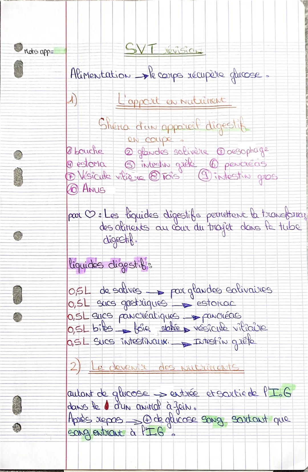 W
Mots app=
SVT ovisic
Alimentation le corps récupère glucose.
L'apport en Nutriment
Shema d'an appareil digestif
ON coupe
2 glandes saliver