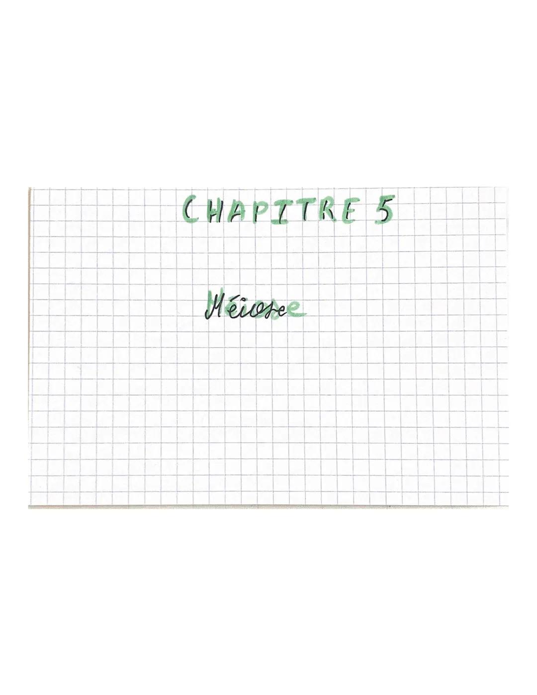 CHAPITRE 5
Méiose fare divisicon
2m=4
là 2 chrmatides
m=2
m=2
2ª divisiom
m=2
<
m=2
m2
à 2 chromatides
m-2
à 1 chromatide # CHAPITRE