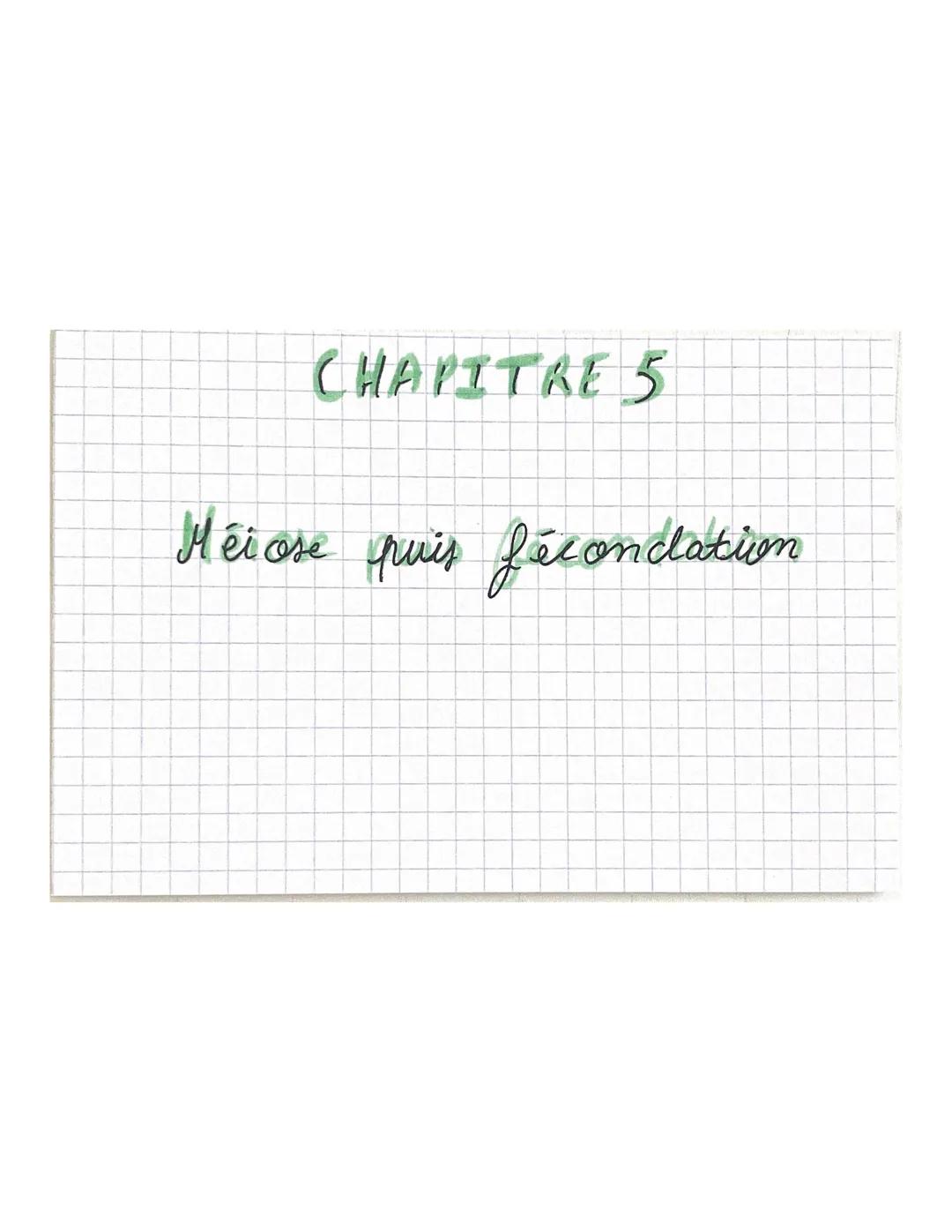 CHAPITRE 5
Méiose fare divisicon
2m=4
là 2 chrmatides
m=2
m=2
2ª divisiom
m=2
<
m=2
m2
à 2 chromatides
m-2
à 1 chromatide # CHAPITRE