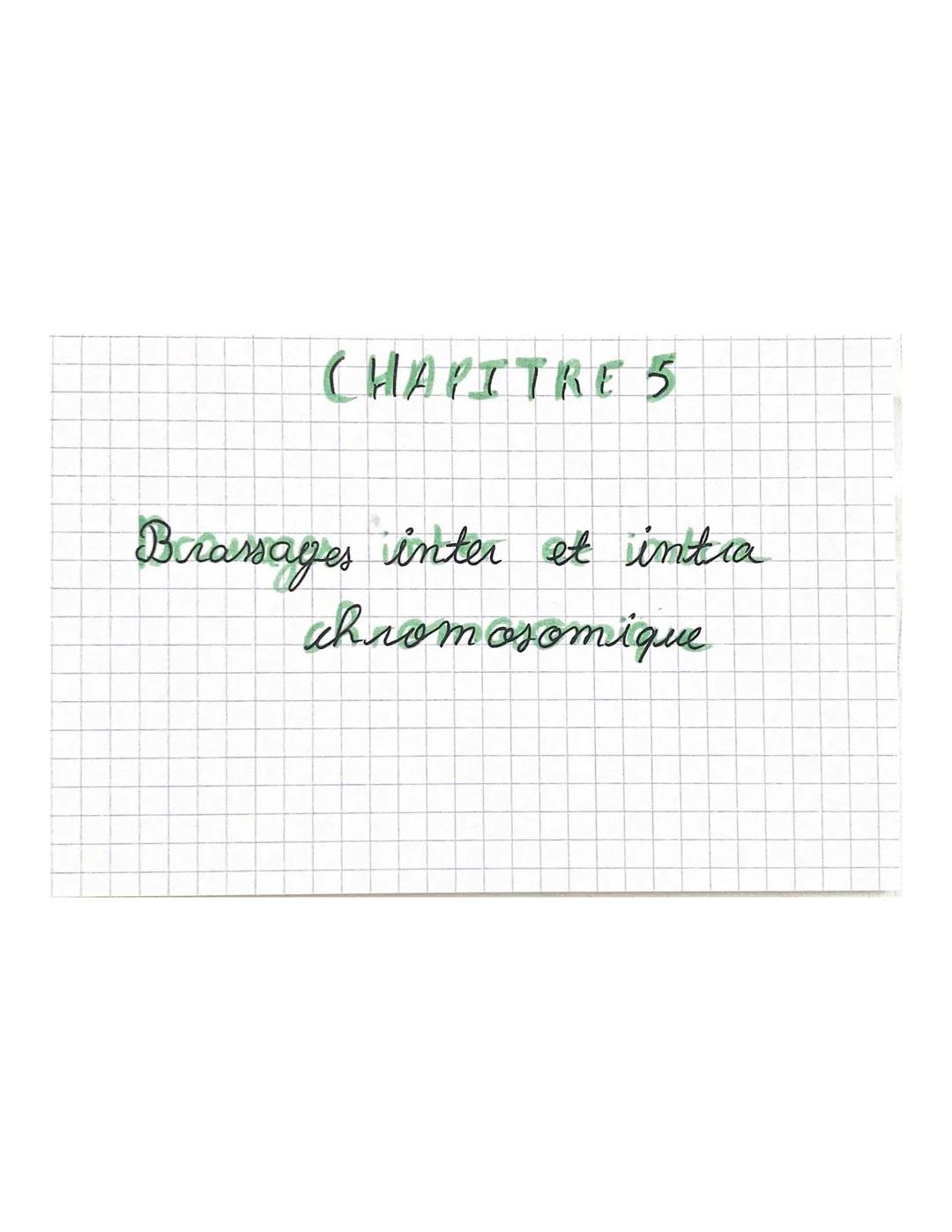 CHAPITRE 5
Méiose fare divisicon
2m=4
là 2 chrmatides
m=2
m=2
2ª divisiom
m=2
<
m=2
m2
à 2 chromatides
m-2
à 1 chromatide # CHAPITRE
