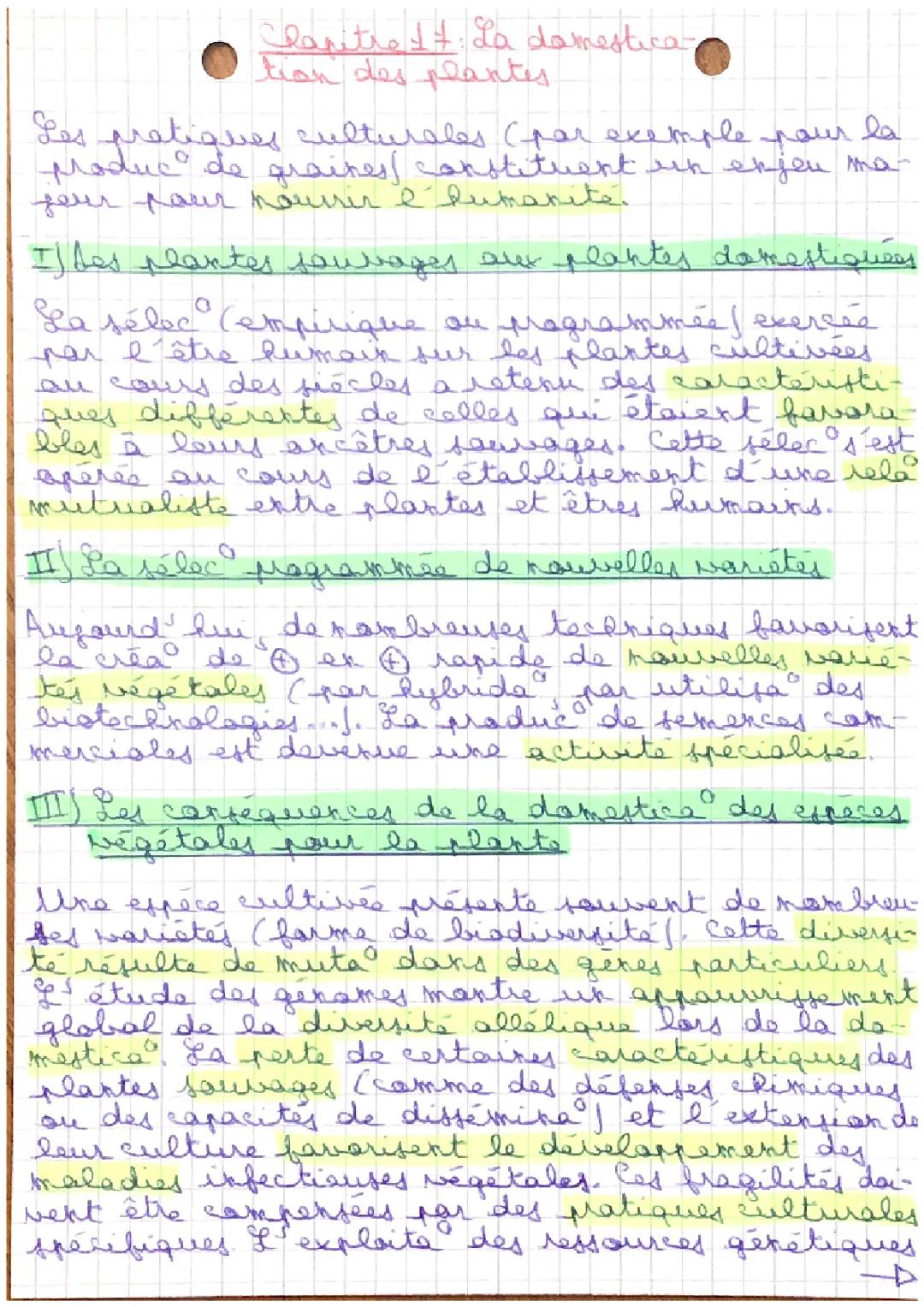 La domestication des plantes