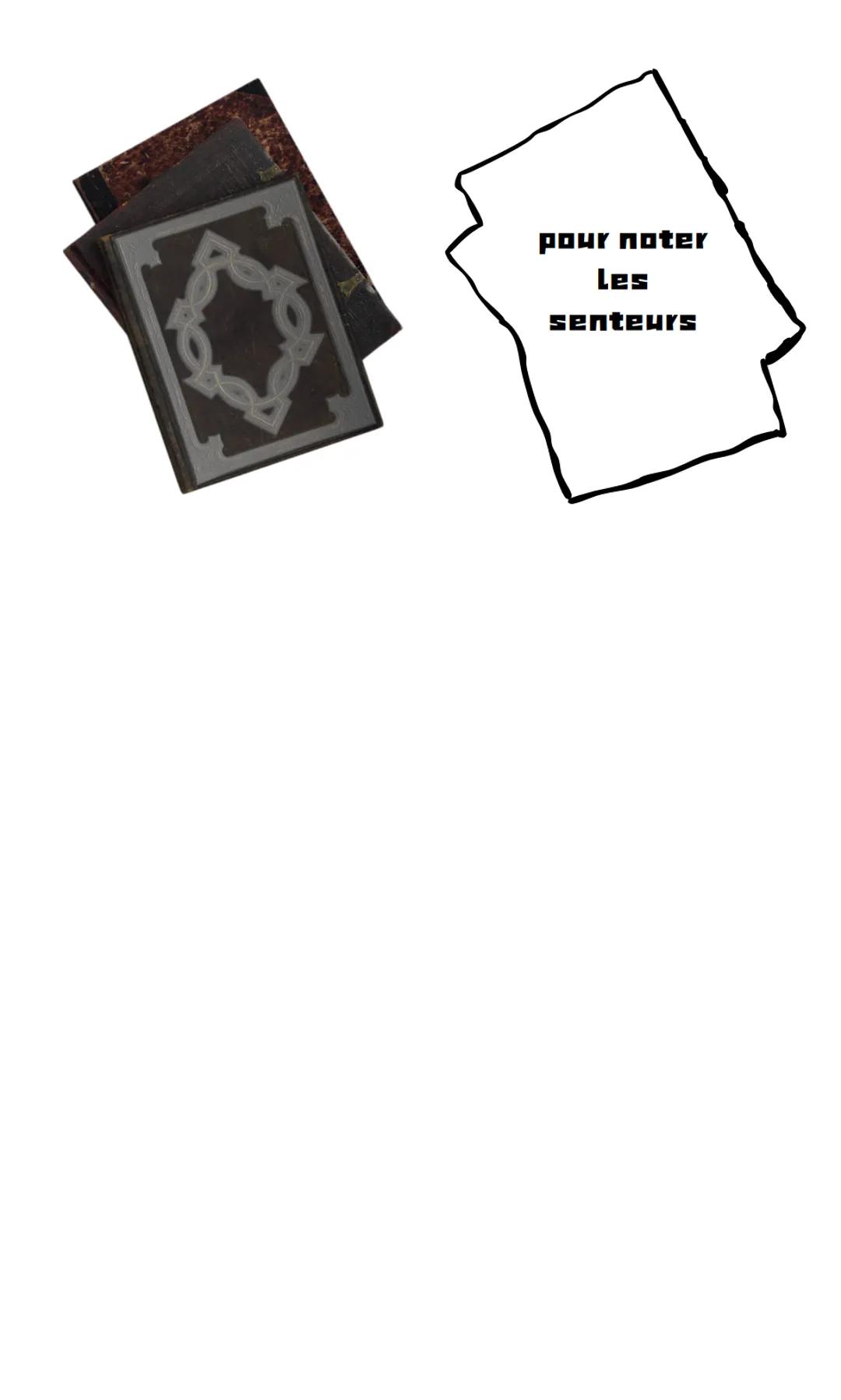 Patrick Süskind - Le Parfum
1) Éléments essentiels :
Présentation générale de l'œuvre :
Titre: Le Parfum
Auteur/autrice: Patrick Süskind
Dat