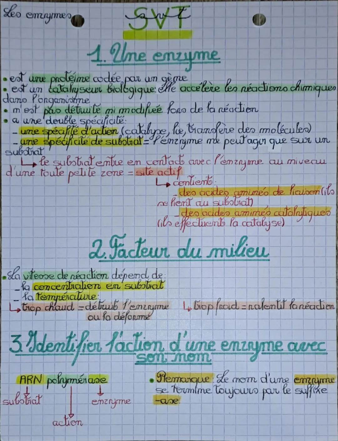 Leo
emrymmes
gwt
1. Une enzyme
• est une protéime codée par un gème
• est un catalyseur biologique: The accélère les réactions chimiques
dan